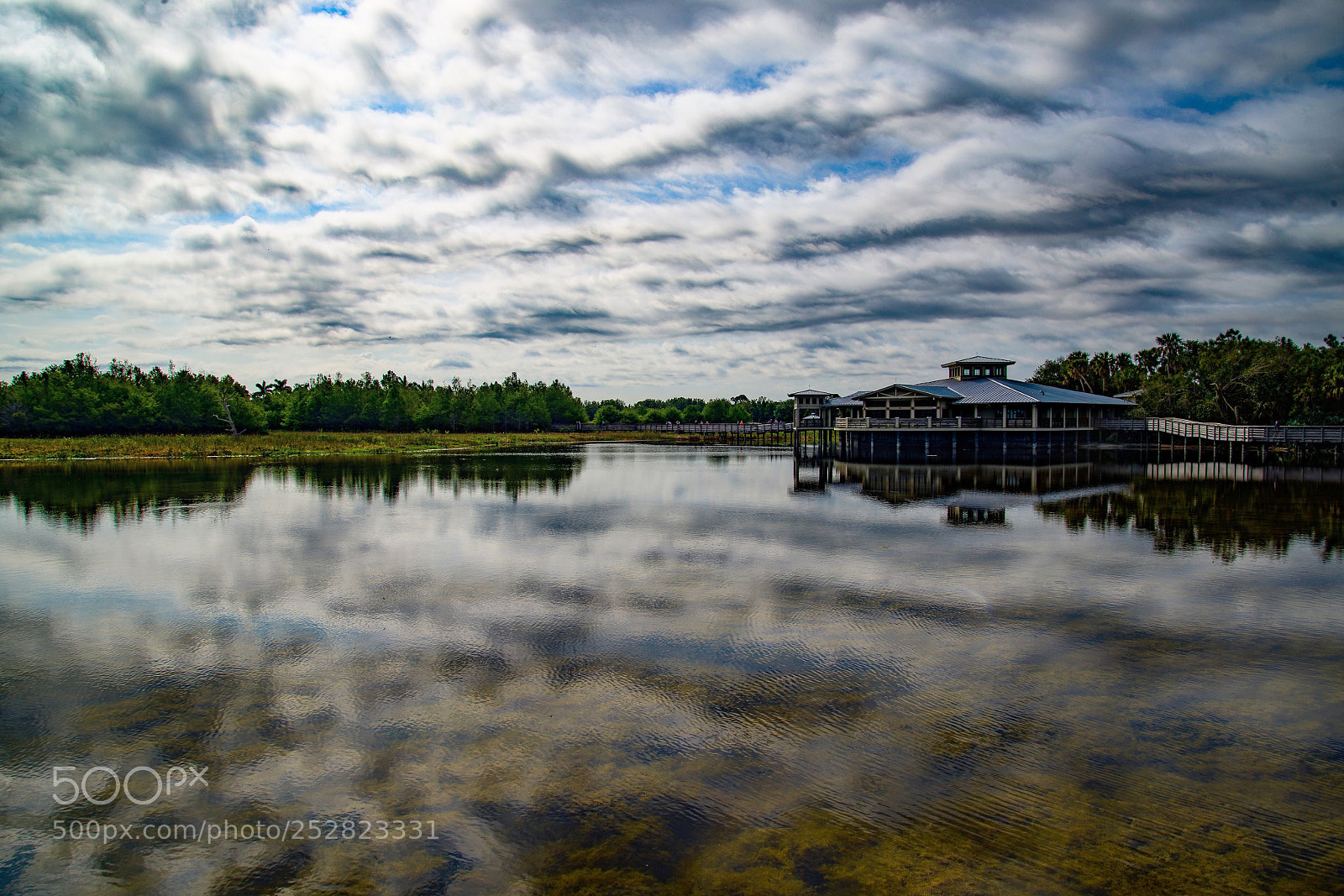 Nikon D800E sample photo. Reflections  photography