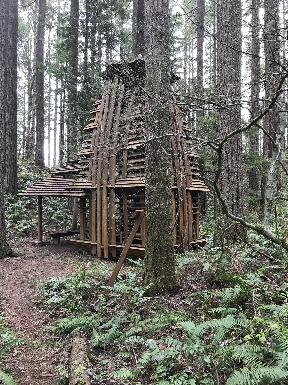 Apple iPhone 7 sample photo. Oregon shrine trail shack photography