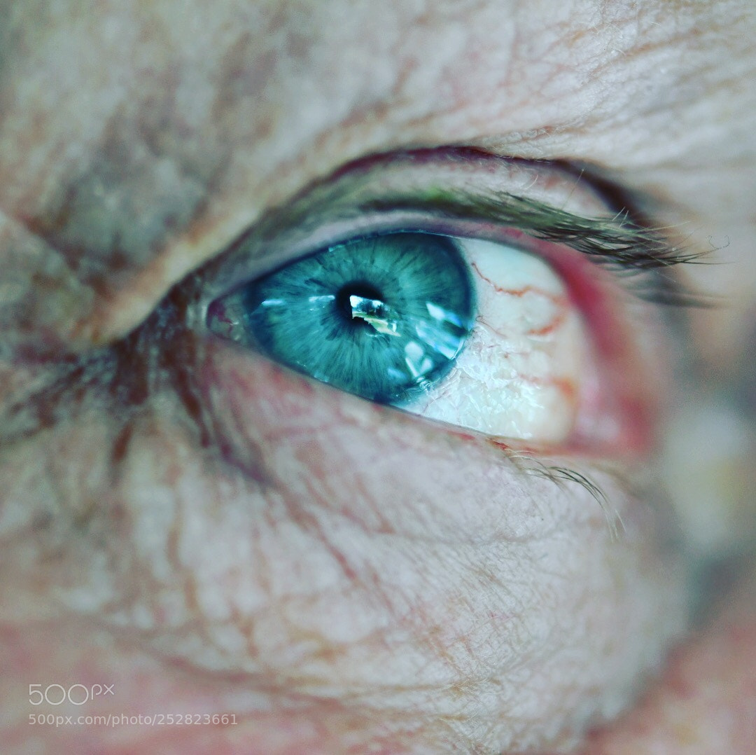 Nikon D7500 sample photo. Untitled photography