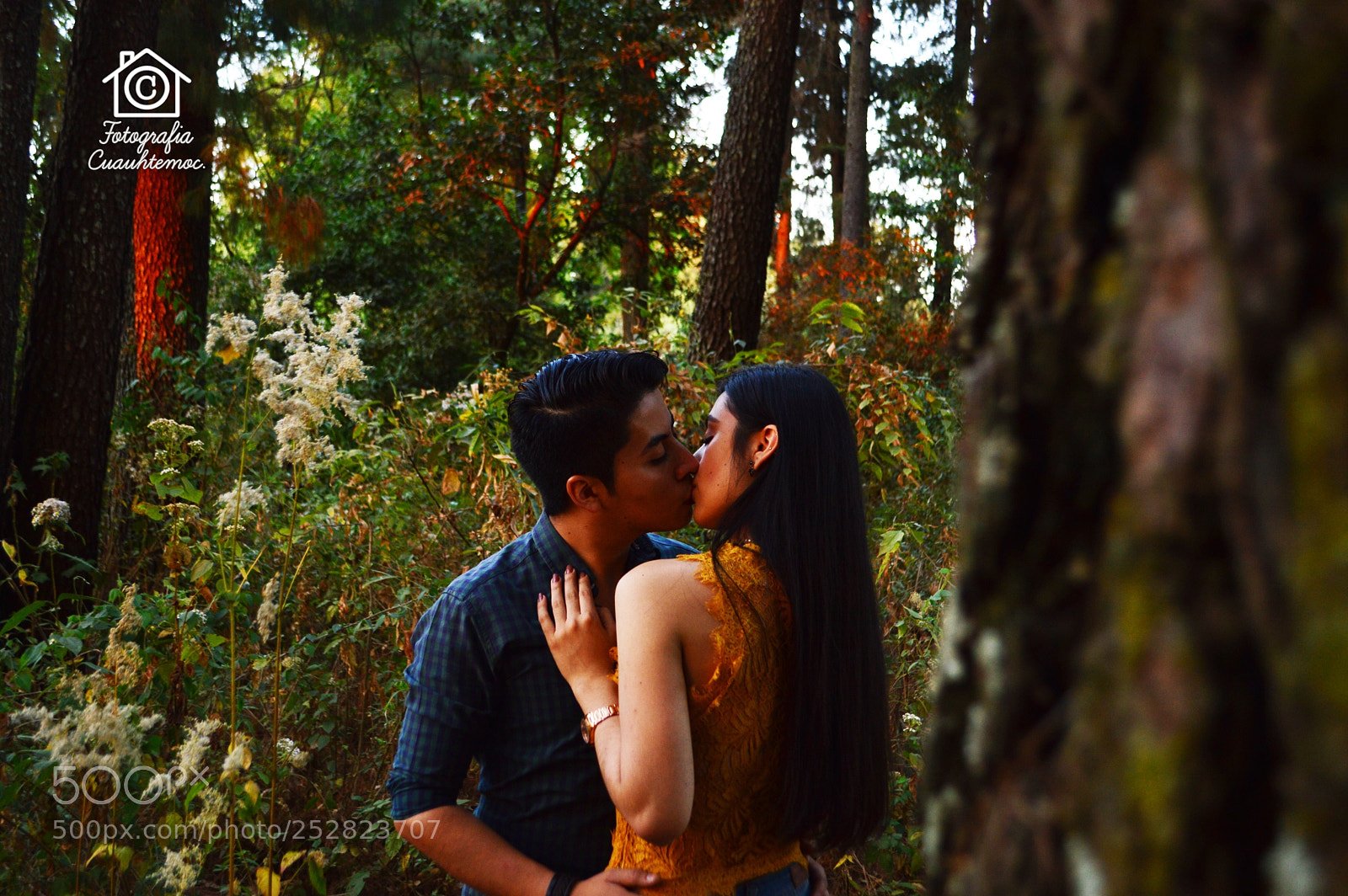 Nikon D3200 sample photo. Modo natural photography