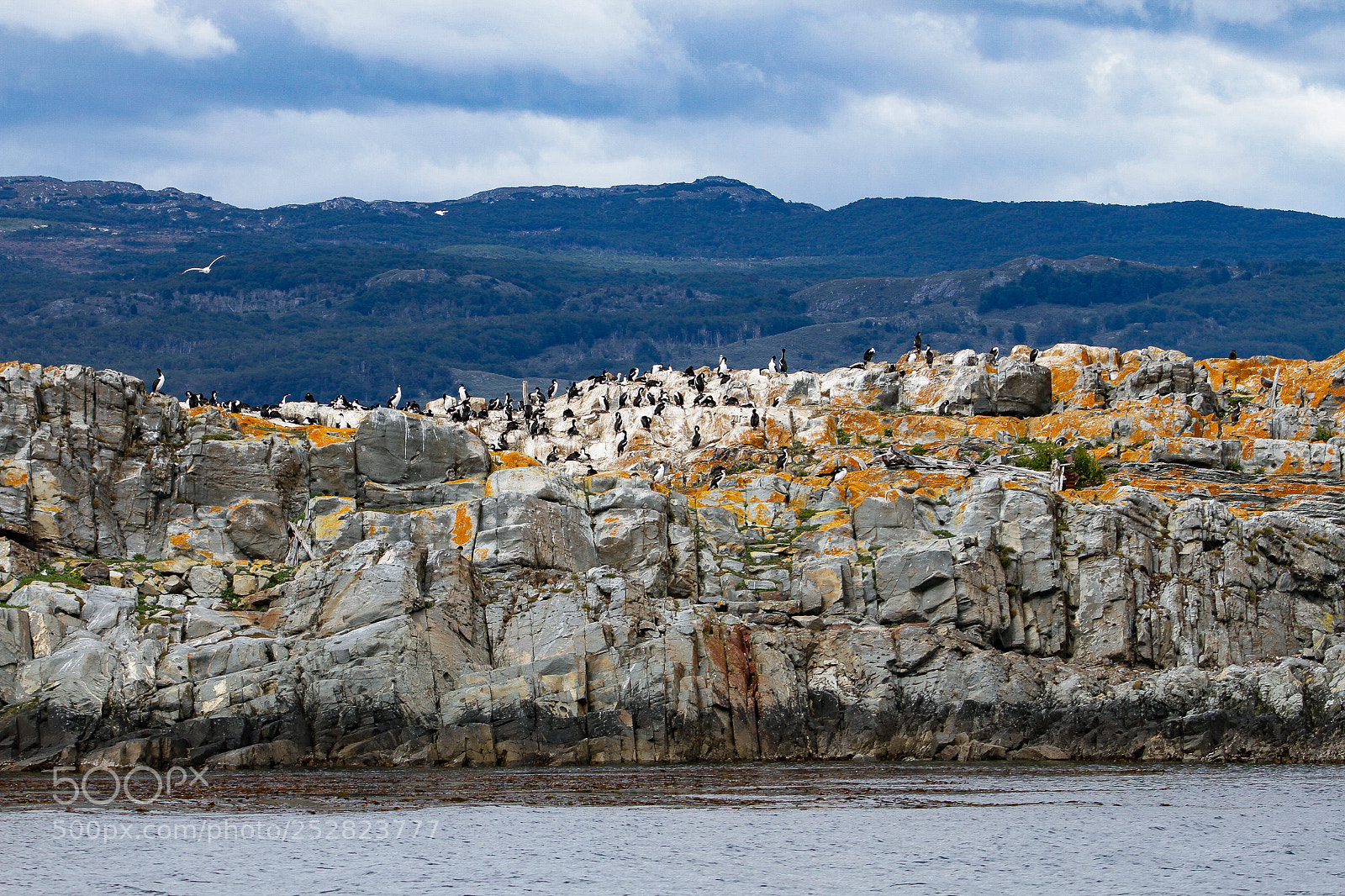 Canon EOS 7D sample photo. Last island photography