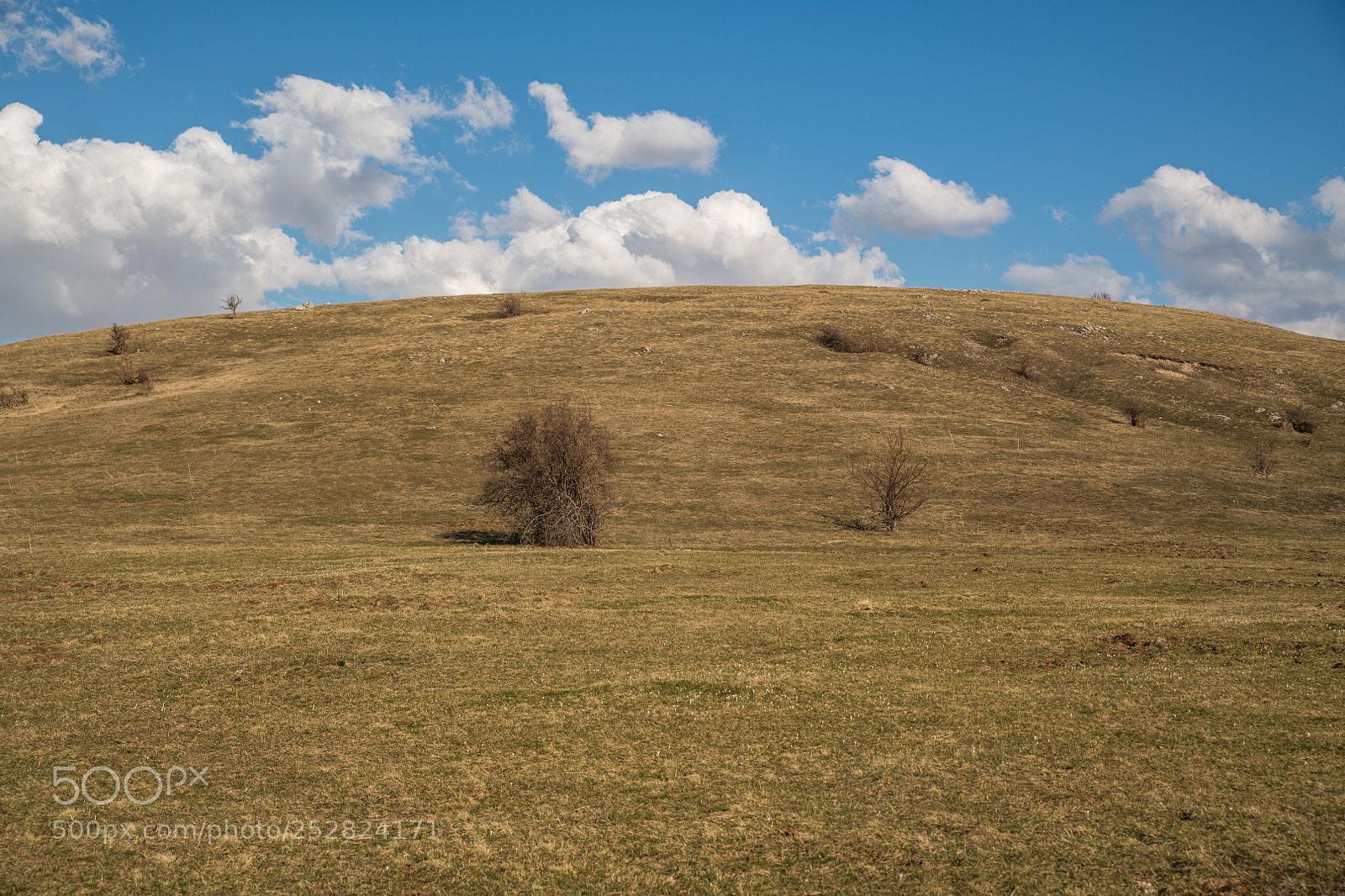 Nikon D850 sample photo. Landscape near ulog photography