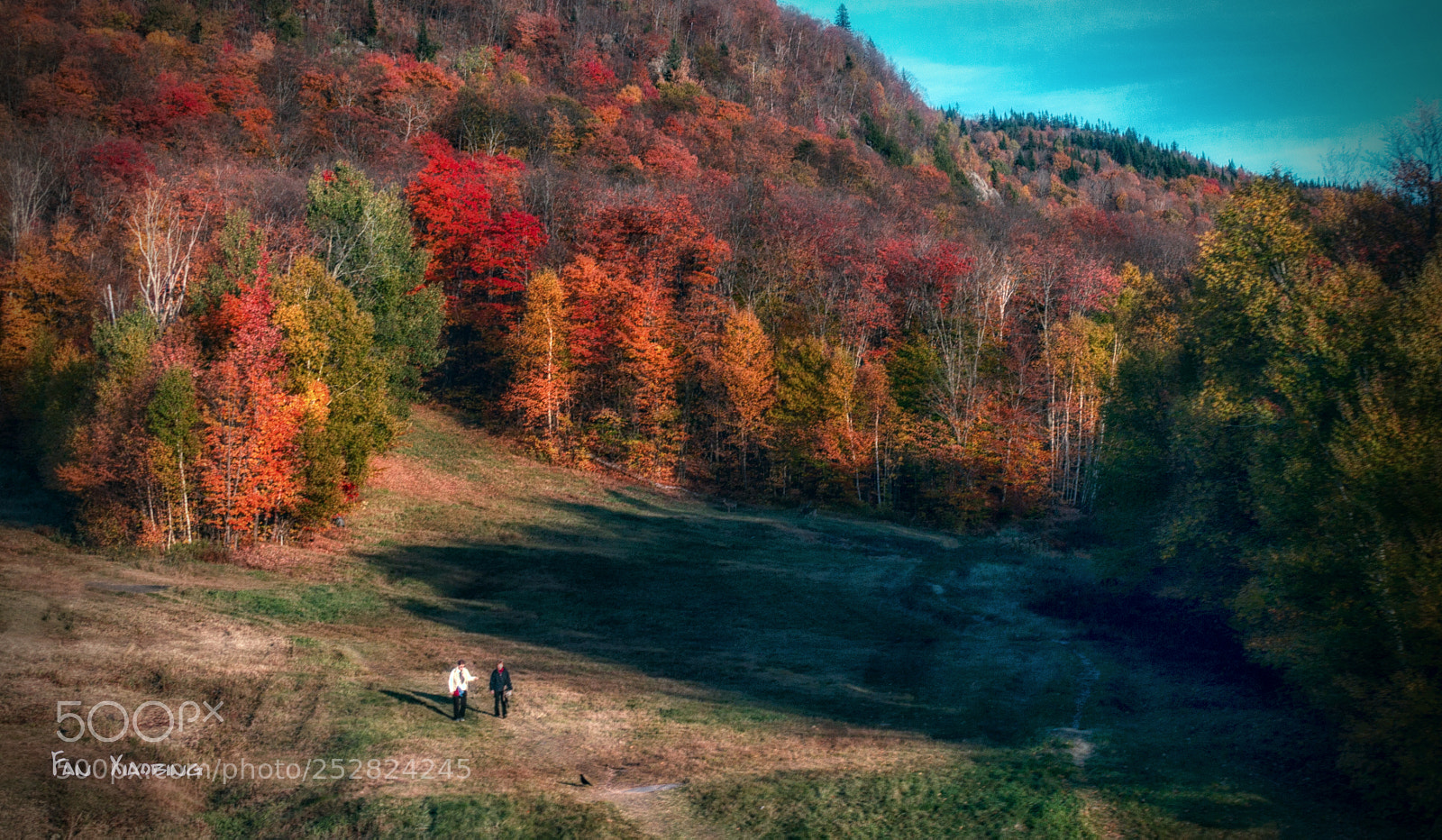 Canon EOS 70D sample photo. Autumn memory photography