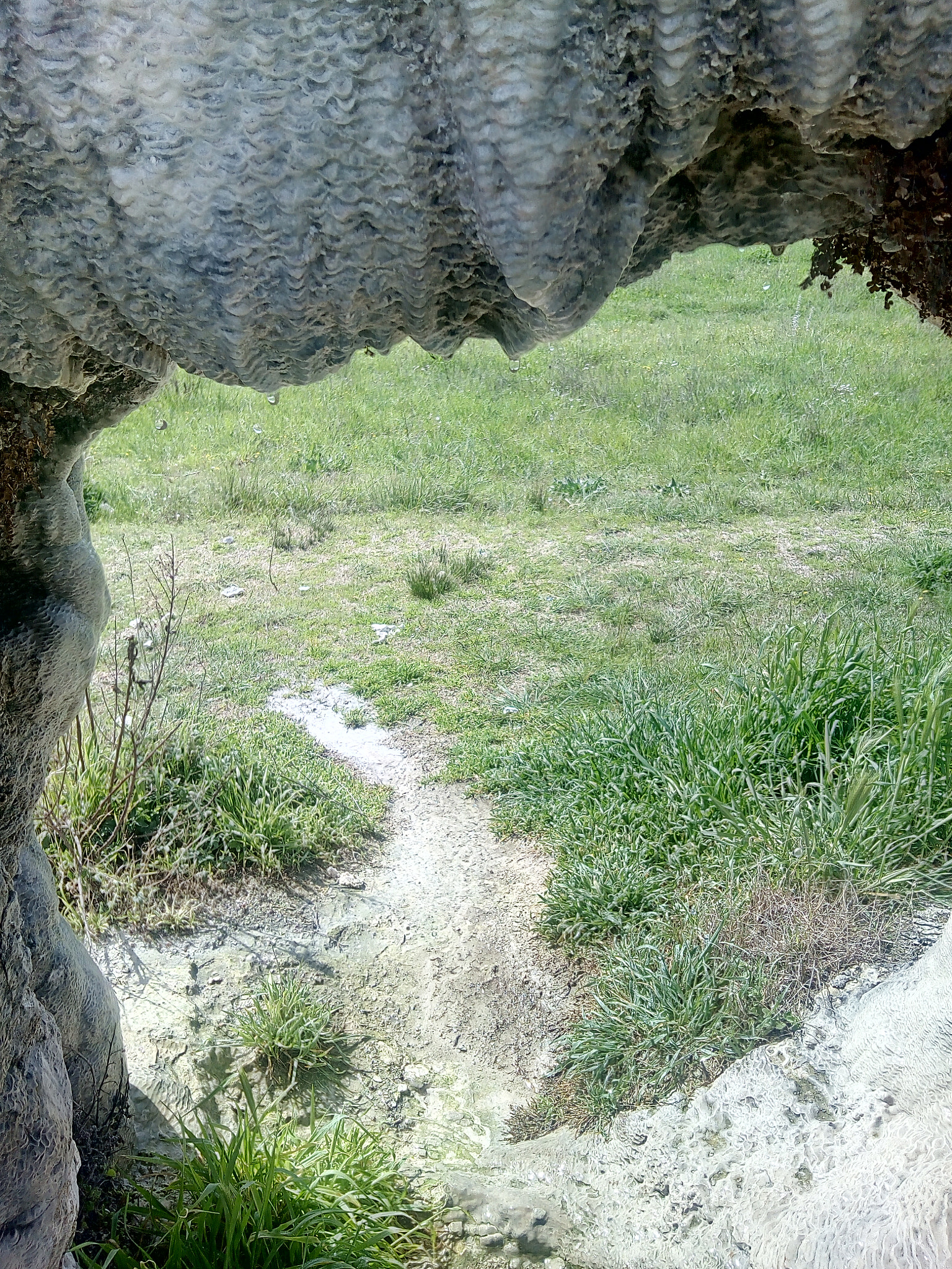 HUAWEI Y6 2017 sample photo