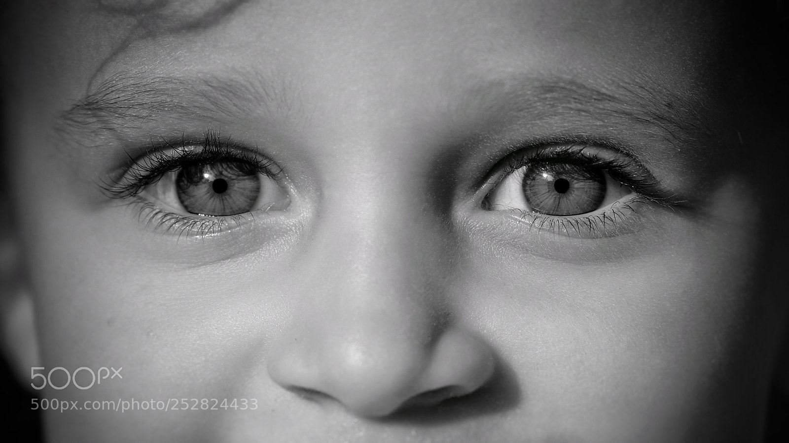 Nikon D850 sample photo. I see you photography
