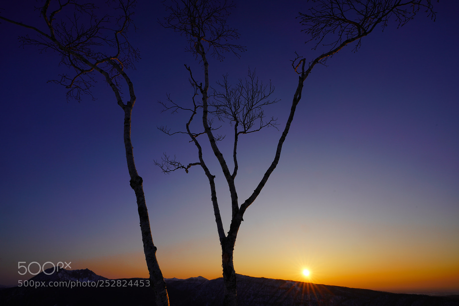 Sony a7R III sample photo. Color photography