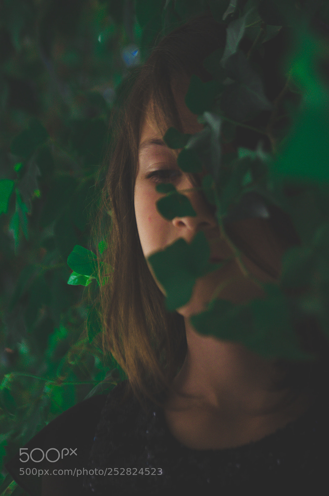 Nikon D5100 sample photo. Through the leafs photography