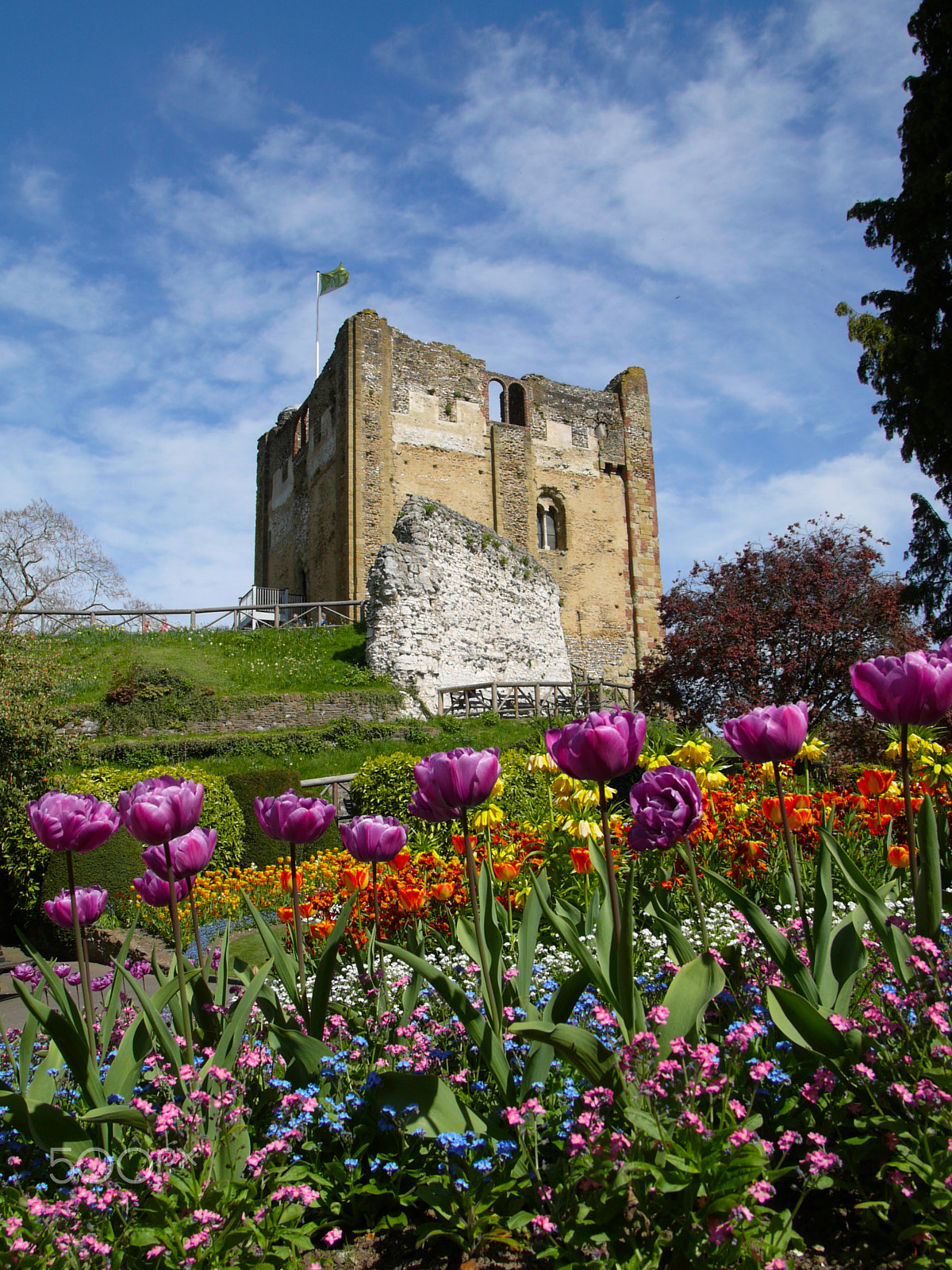 Leica Digilux 3 sample photo. Guildford castle photography