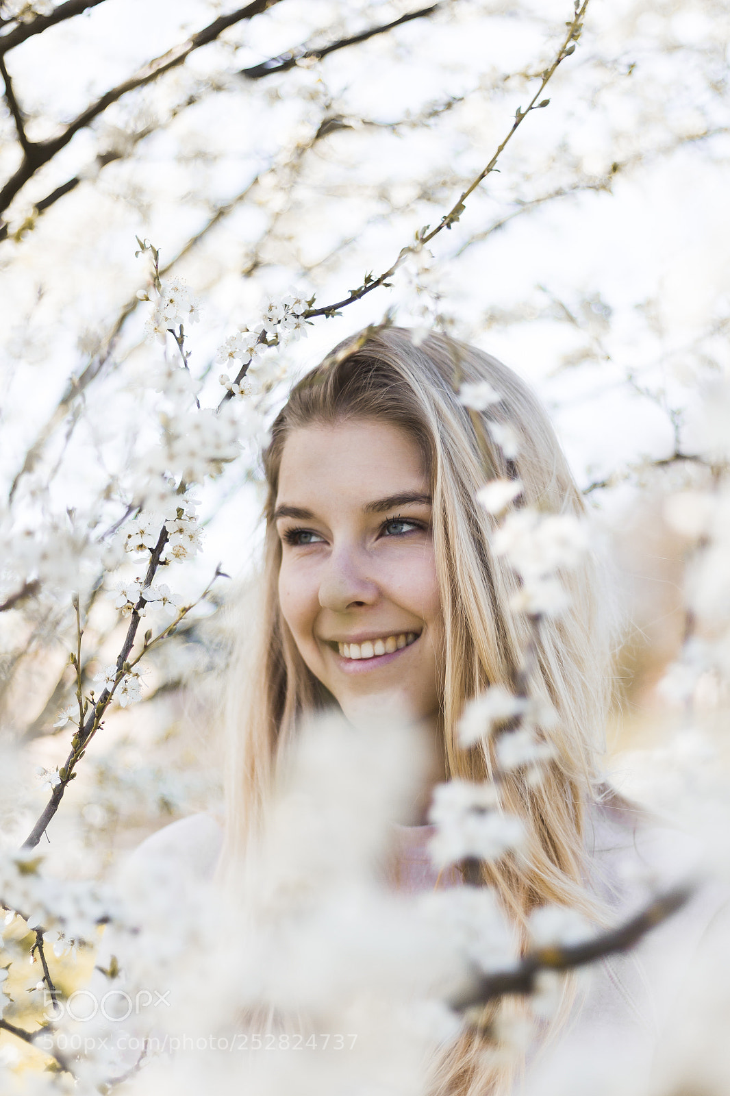 Canon EOS 650D (EOS Rebel T4i / EOS Kiss X6i) sample photo. Girl in flowers | 1 photography