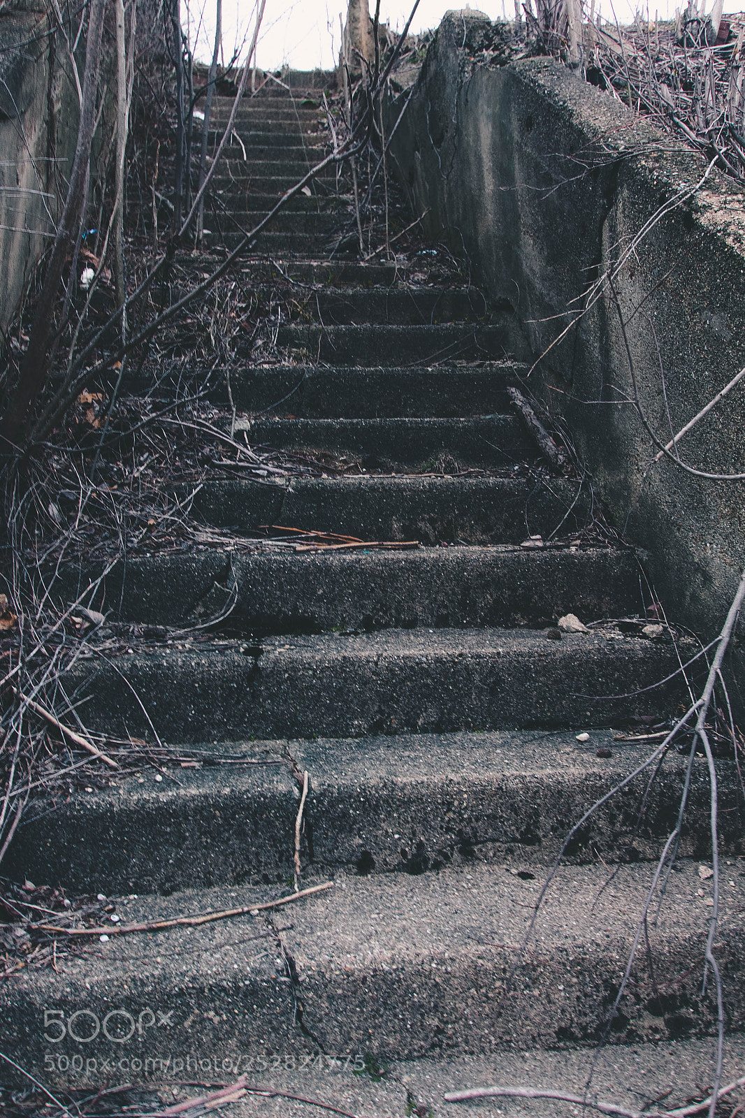 Canon EOS 700D (EOS Rebel T5i / EOS Kiss X7i) sample photo. Stairs photography
