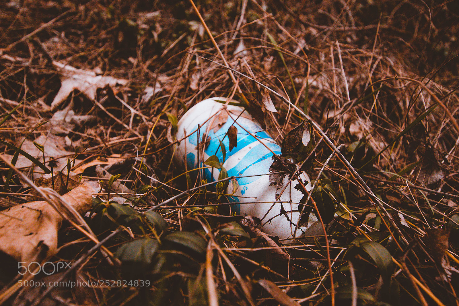 Canon EOS 700D (EOS Rebel T5i / EOS Kiss X7i) sample photo. Cup photography