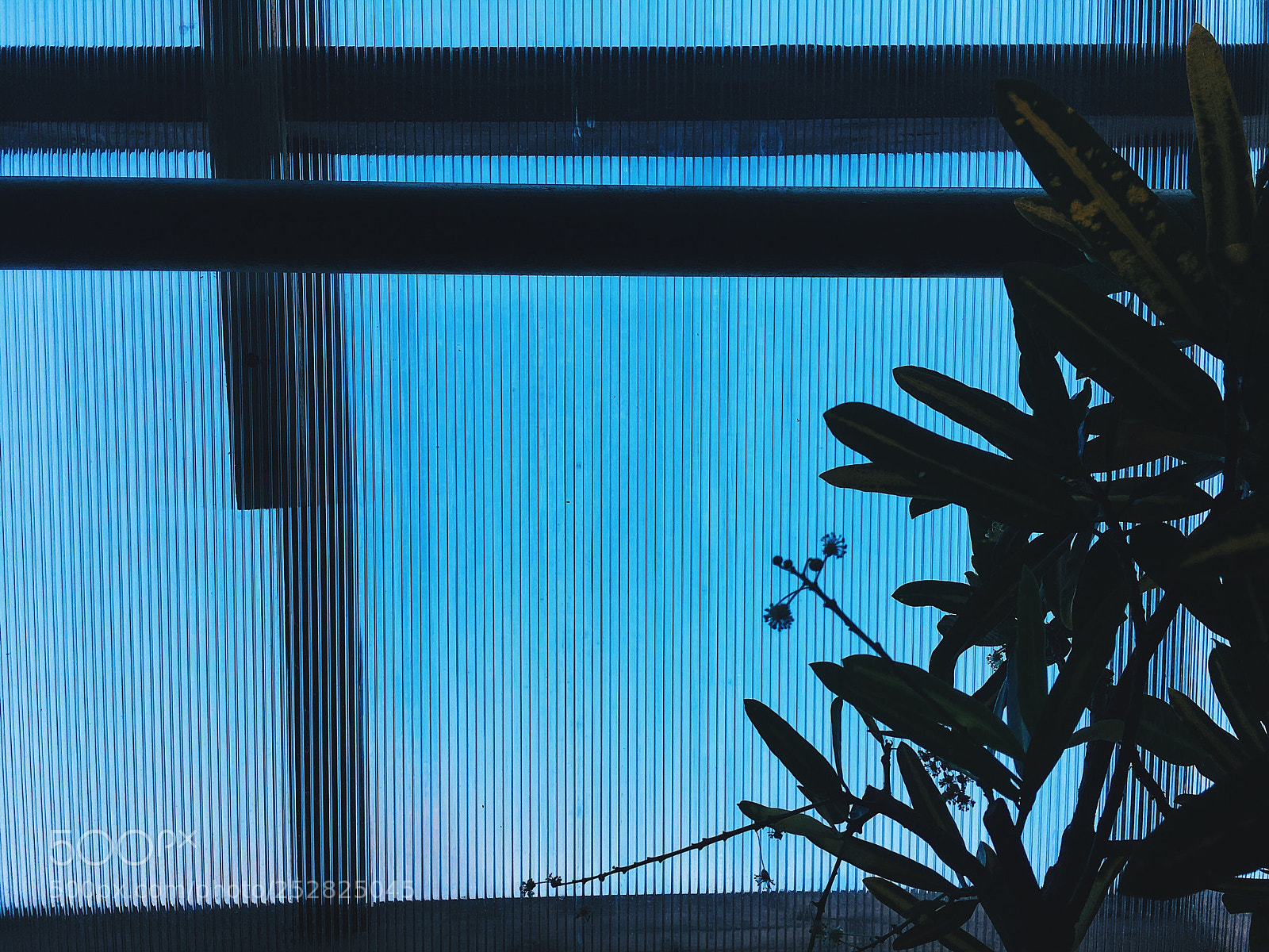 Apple iPhone SE sample photo. Untitled photography
