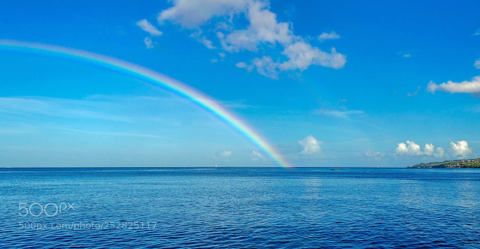 Nikon D5100 sample photo. Untitled photography