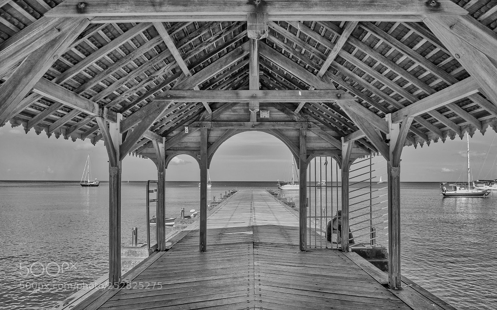 Nikon D5100 sample photo. Black and white  photography
