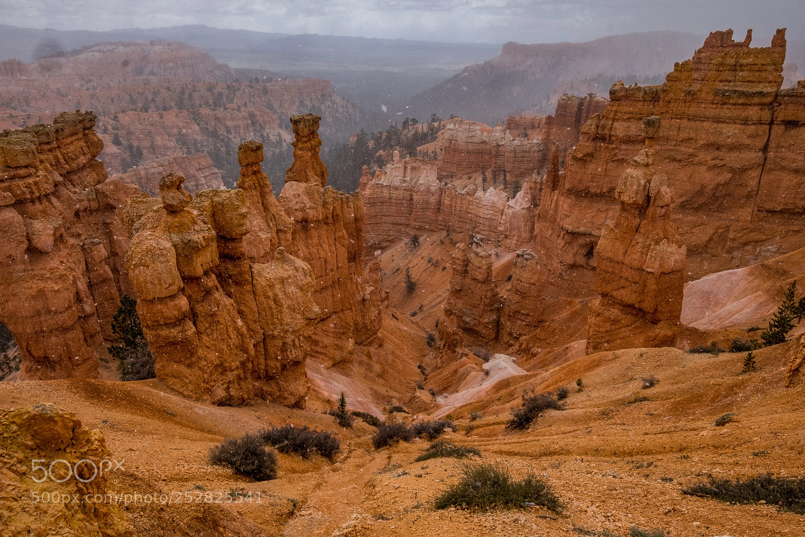 Fujifilm X-T2 sample photo. Bryce canyon flurries photography