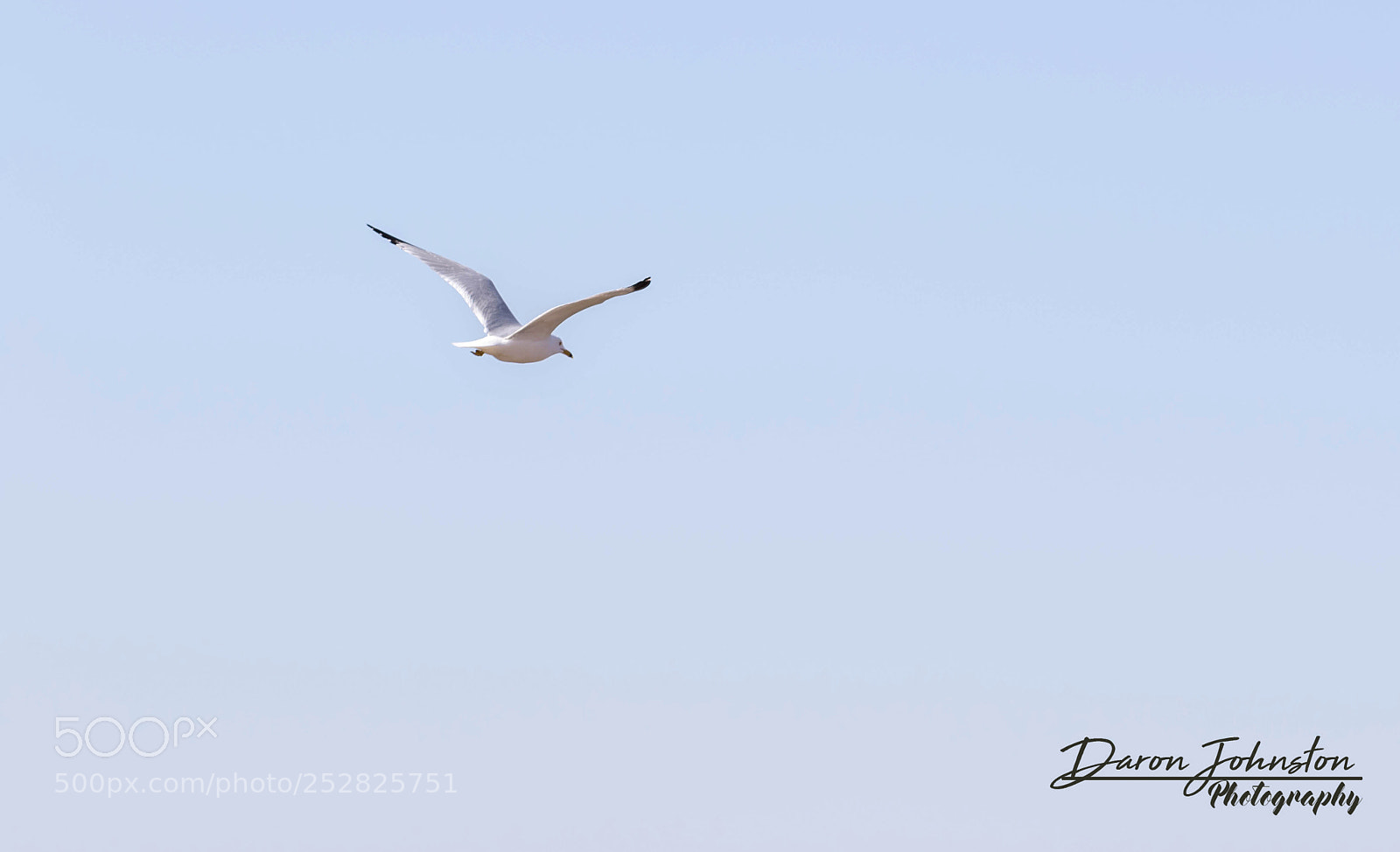 Canon EOS 7D Mark II sample photo. Solo flight photography