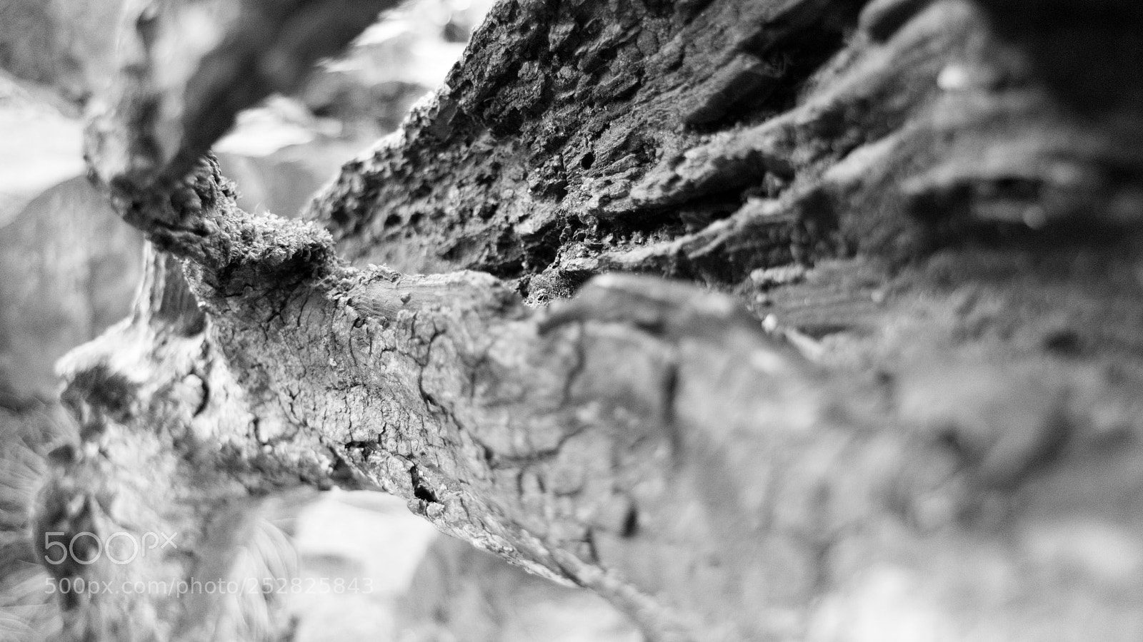 Canon EOS M3 sample photo. Untitled photography