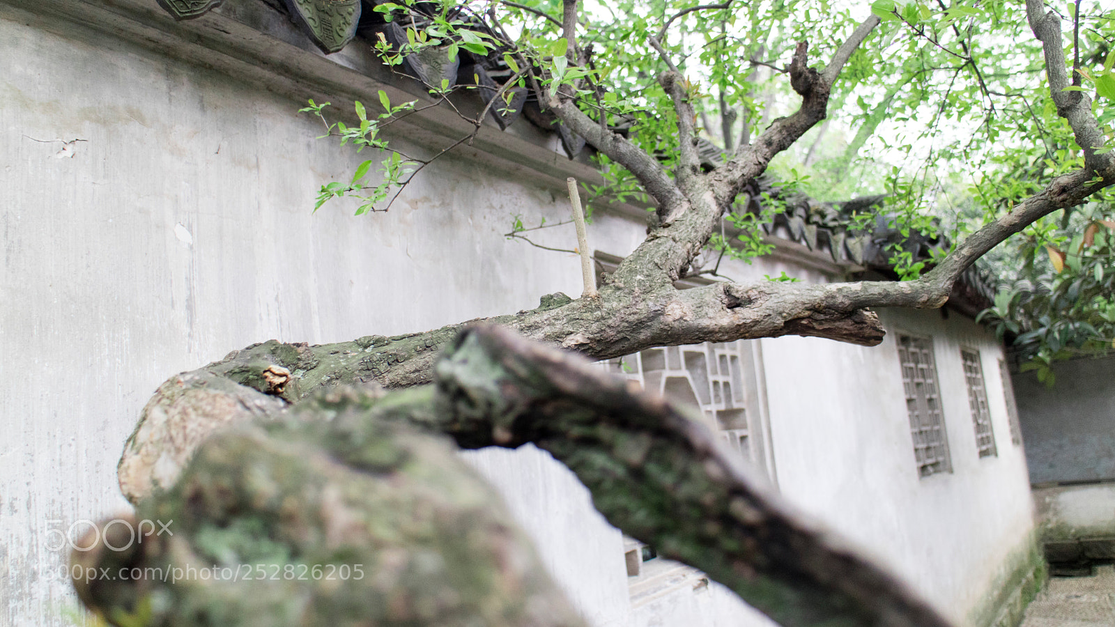Canon EOS M3 sample photo. Untitled photography