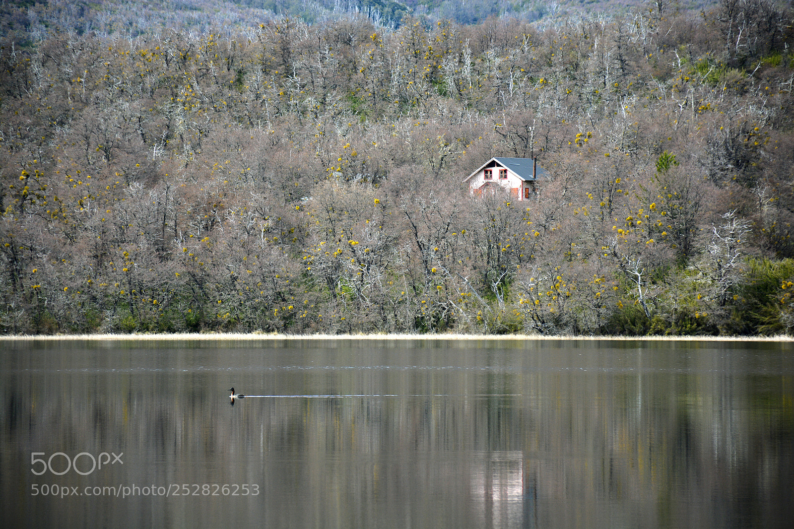 Nikon D7100 sample photo. La casa del lago photography