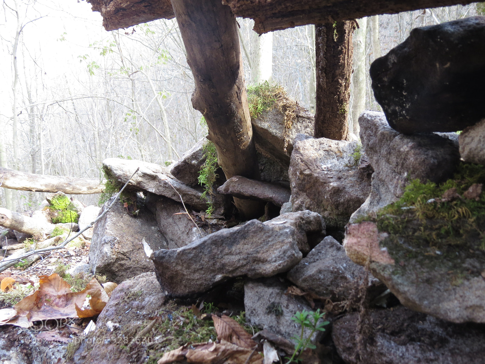 Canon PowerShot SX50 HS sample photo. West virginia woods photography