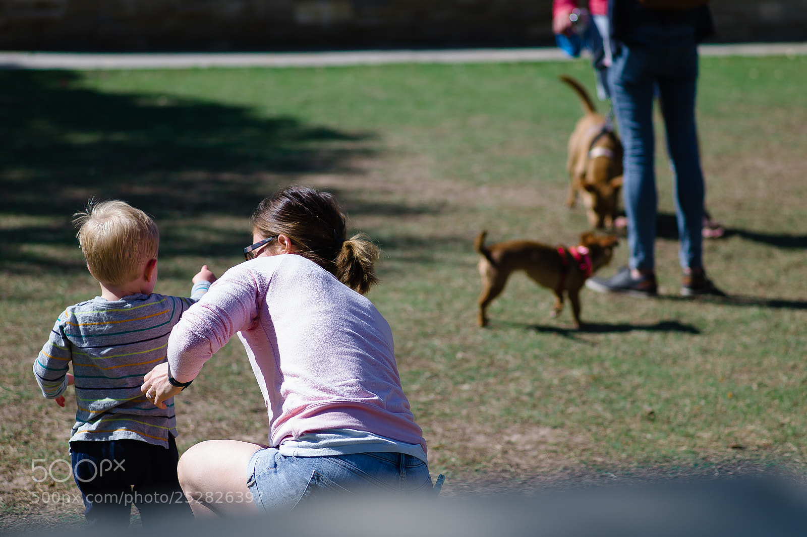 Leica M9 sample photo. What are those? photography