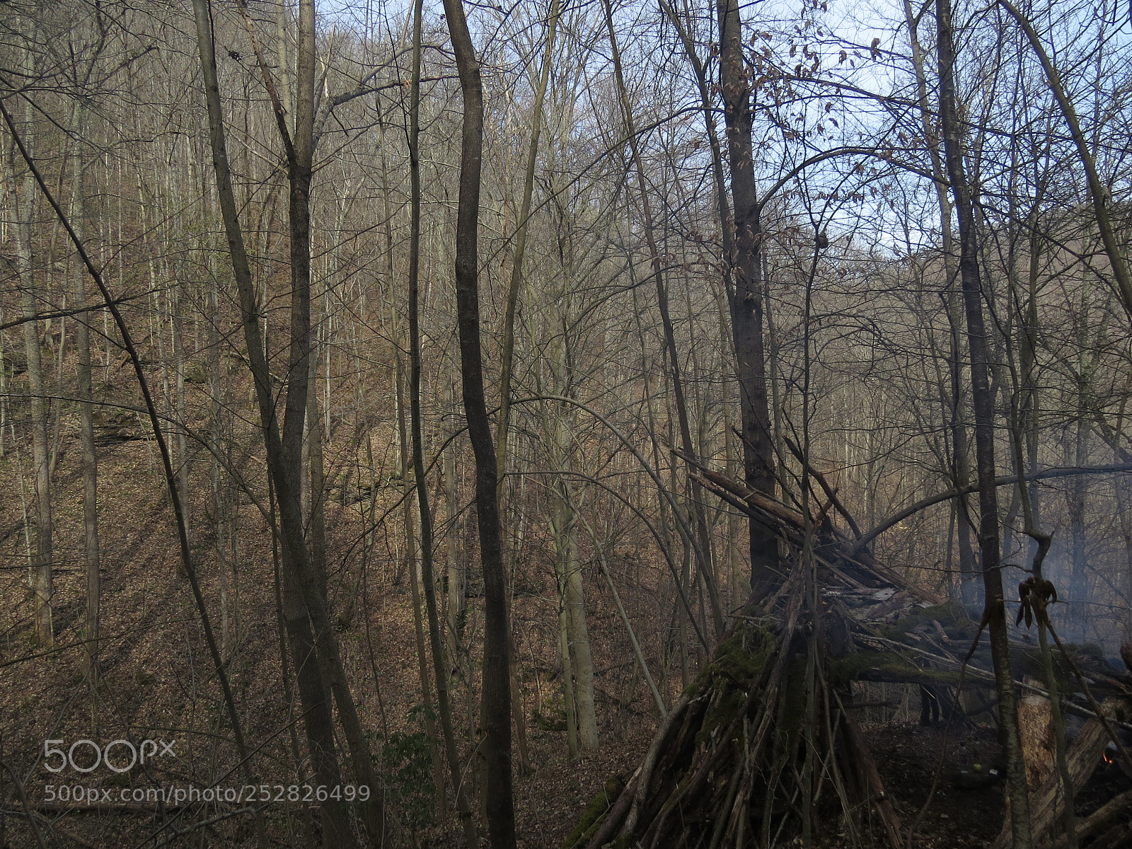 Canon PowerShot SX50 HS sample photo. West virginia woods photography