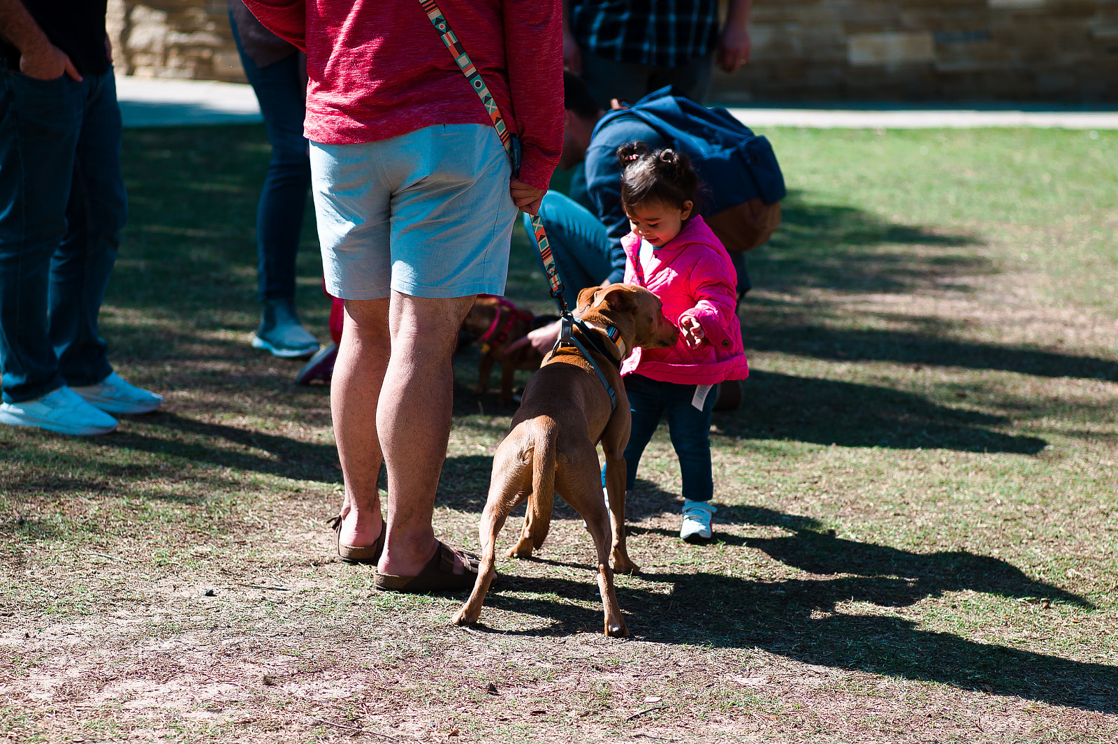 Leica M9 sample photo. Making new friends photography