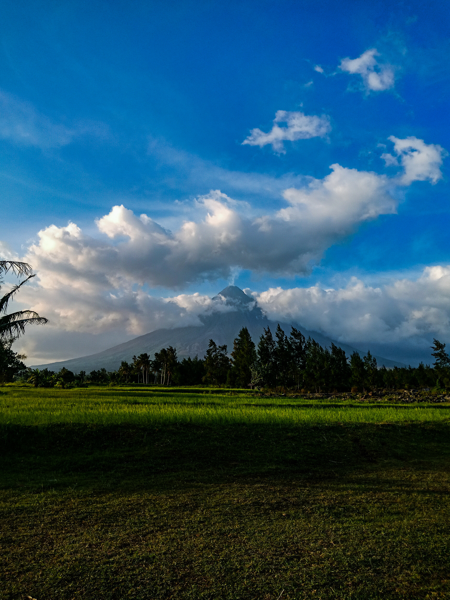 OPPO CPH1723 sample photo. Mayon photography