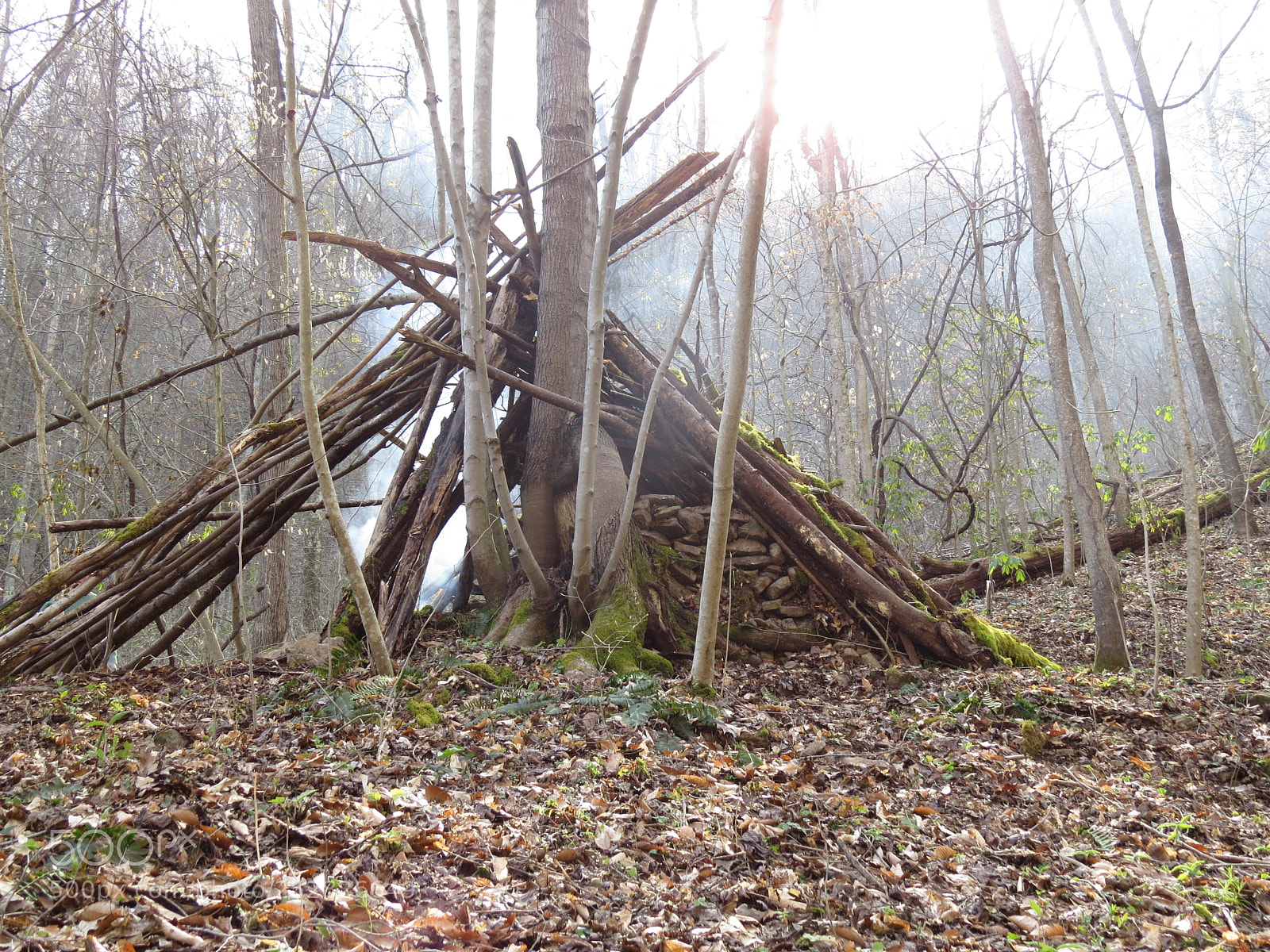 Canon PowerShot SX50 HS sample photo. West virginia woods photography