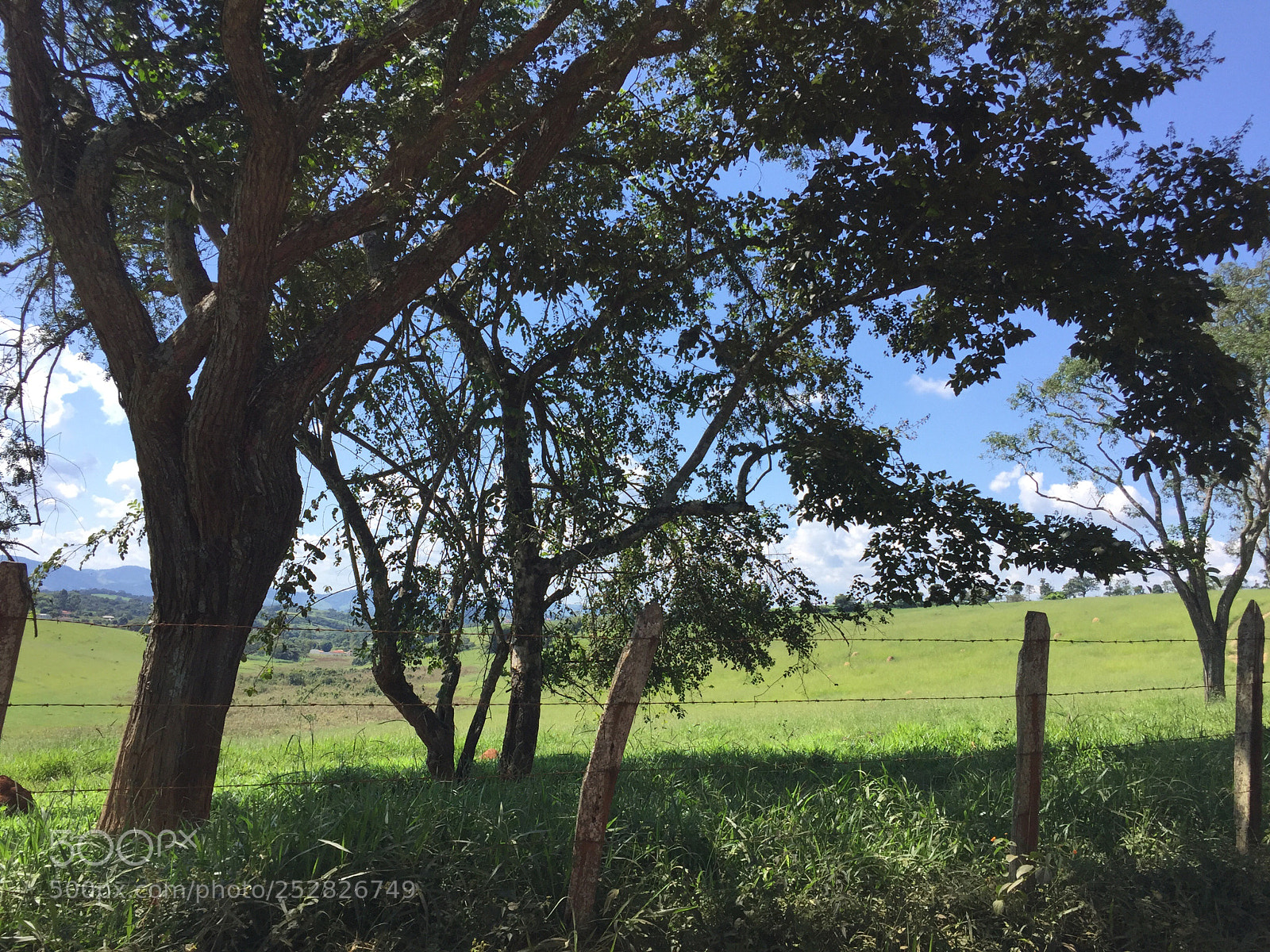 Apple iPhone 6 sample photo. Untitled photography