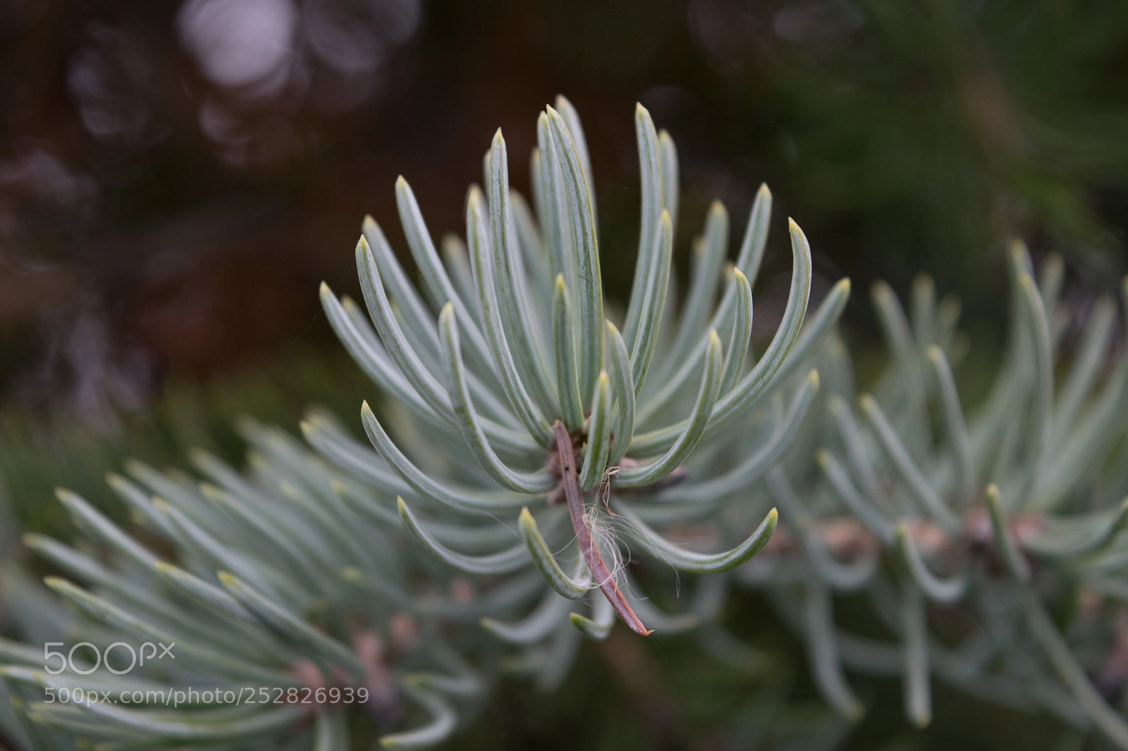 Nikon D3300 sample photo. Untitled photography