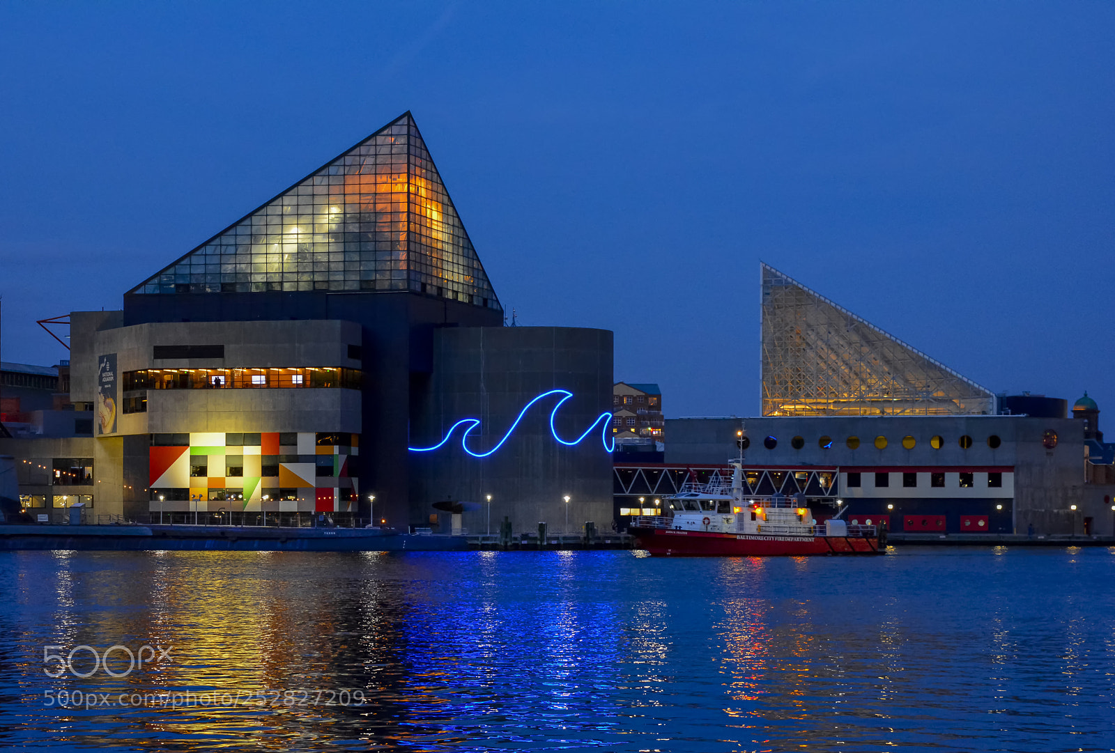 Nikon D7100 sample photo. National aquarium baltimore photography