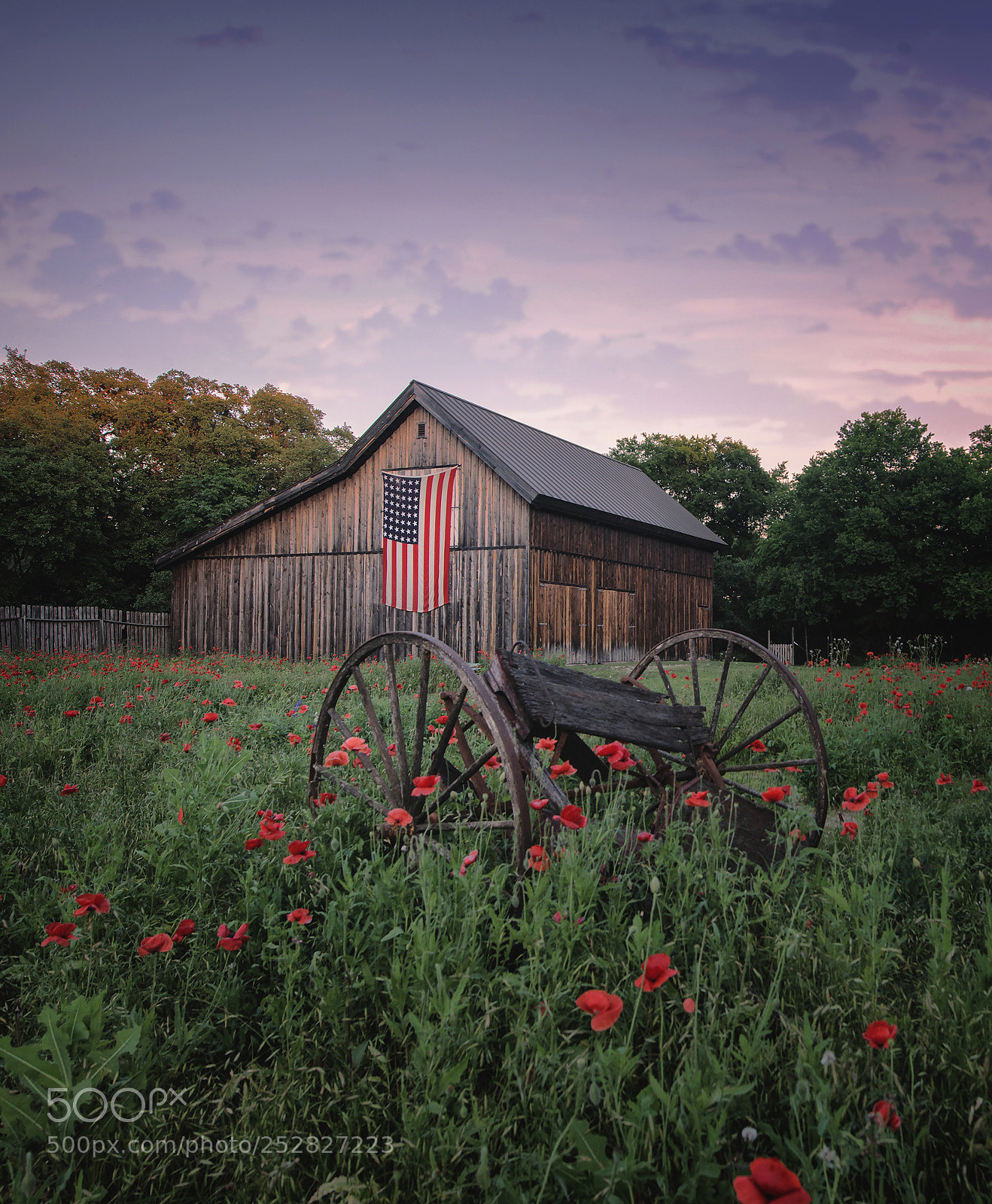 Nikon D800 sample photo. Springtime in texas photography