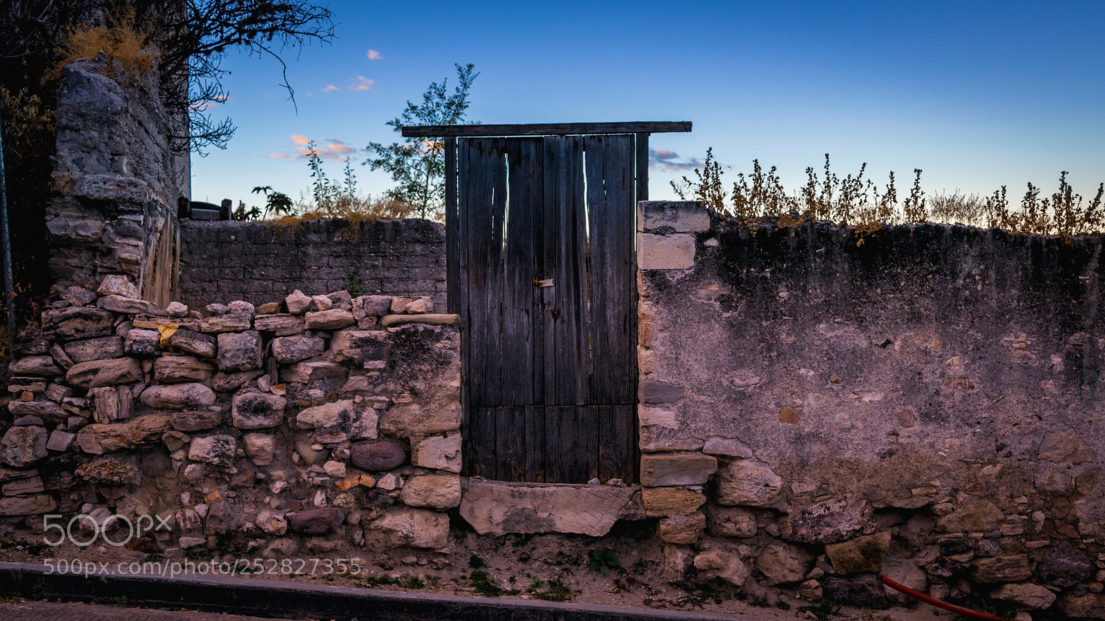 Nikon D5300 sample photo. The door photography