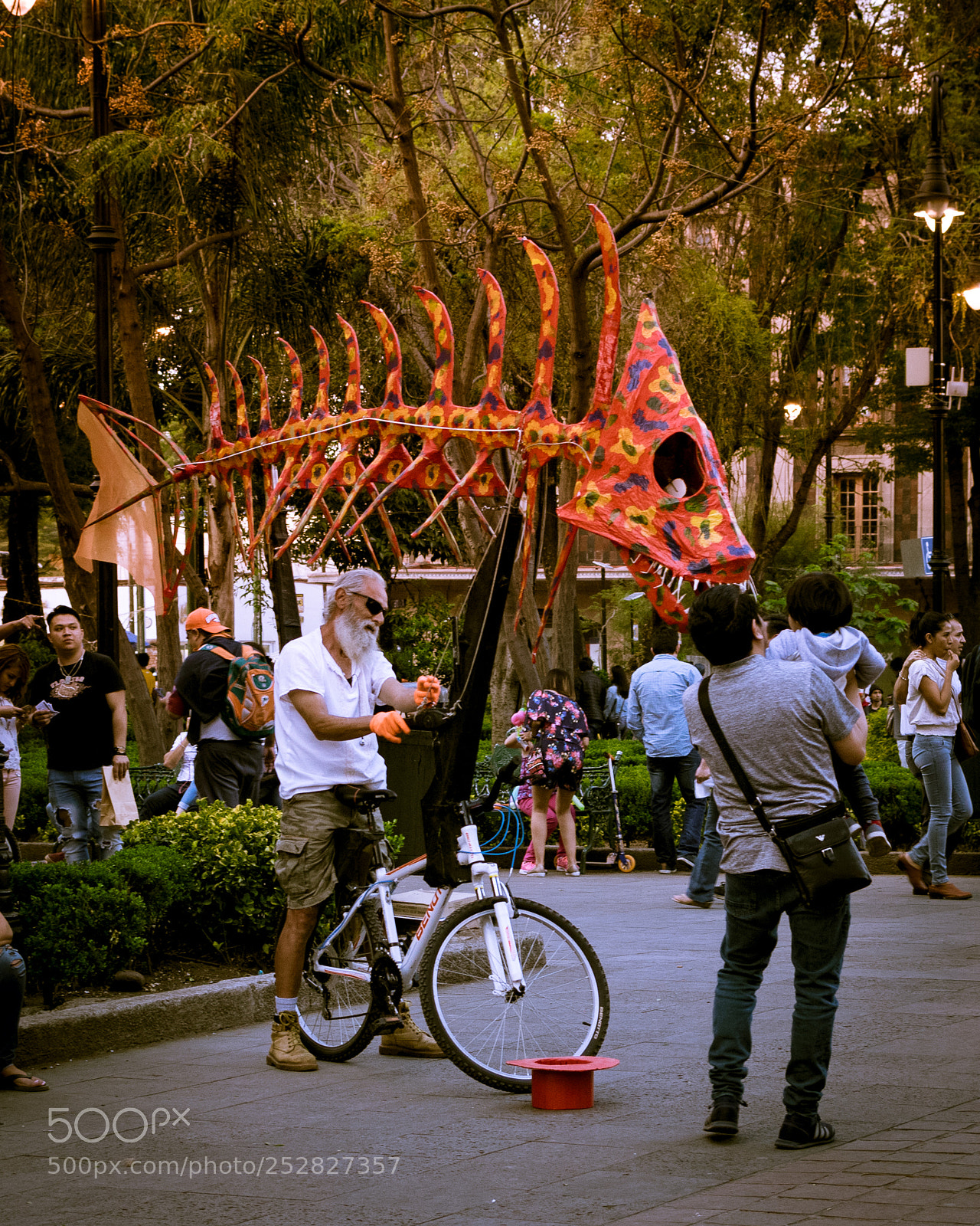 Nikon D5300 sample photo. Bicicleta con esqueleto de photography