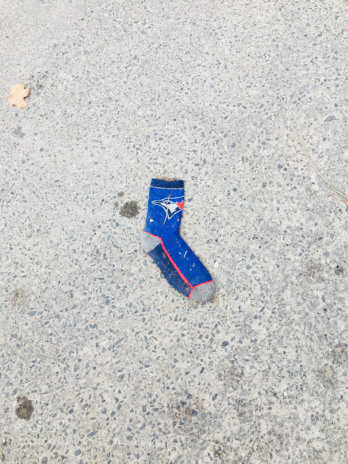 Apple iPhone 6s sample photo. Blue sock photography