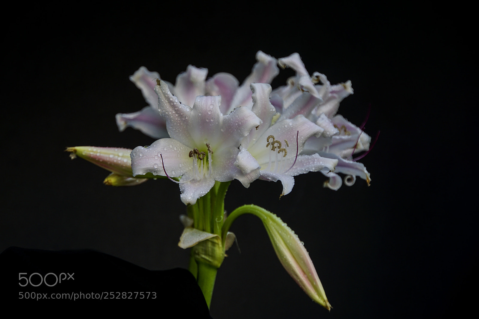Sony a6000 sample photo. Trinh n ho ng photography