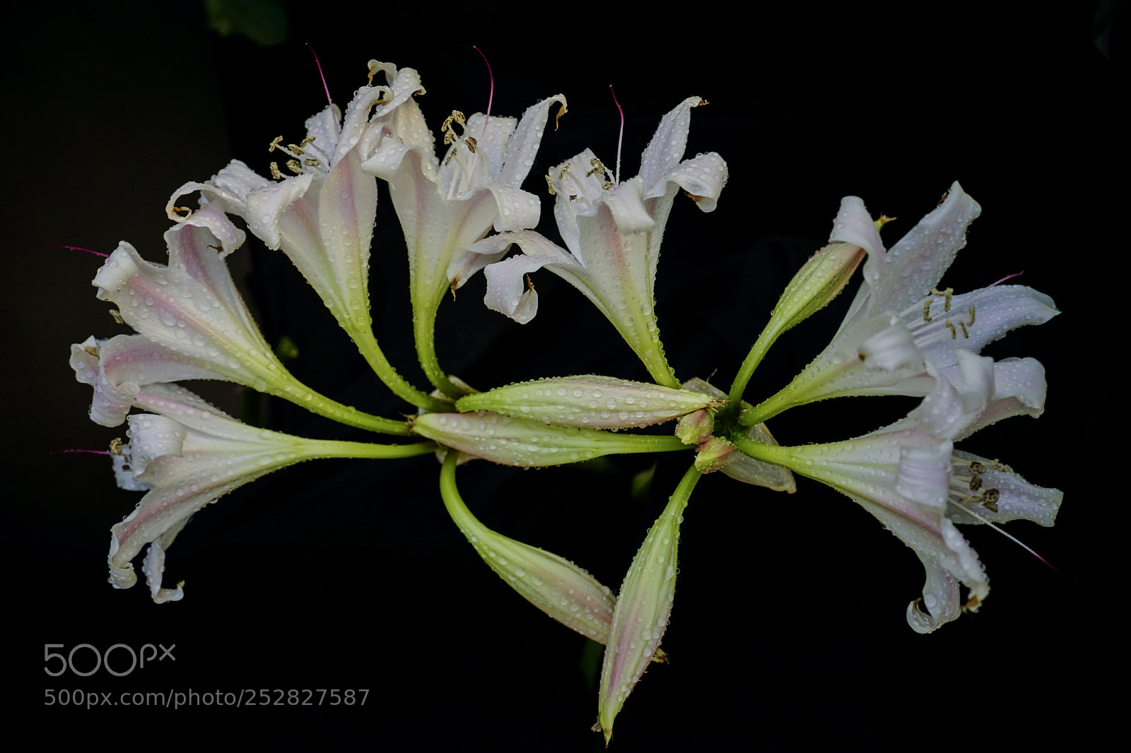 Sony a6000 sample photo. Trinh n ho ng photography