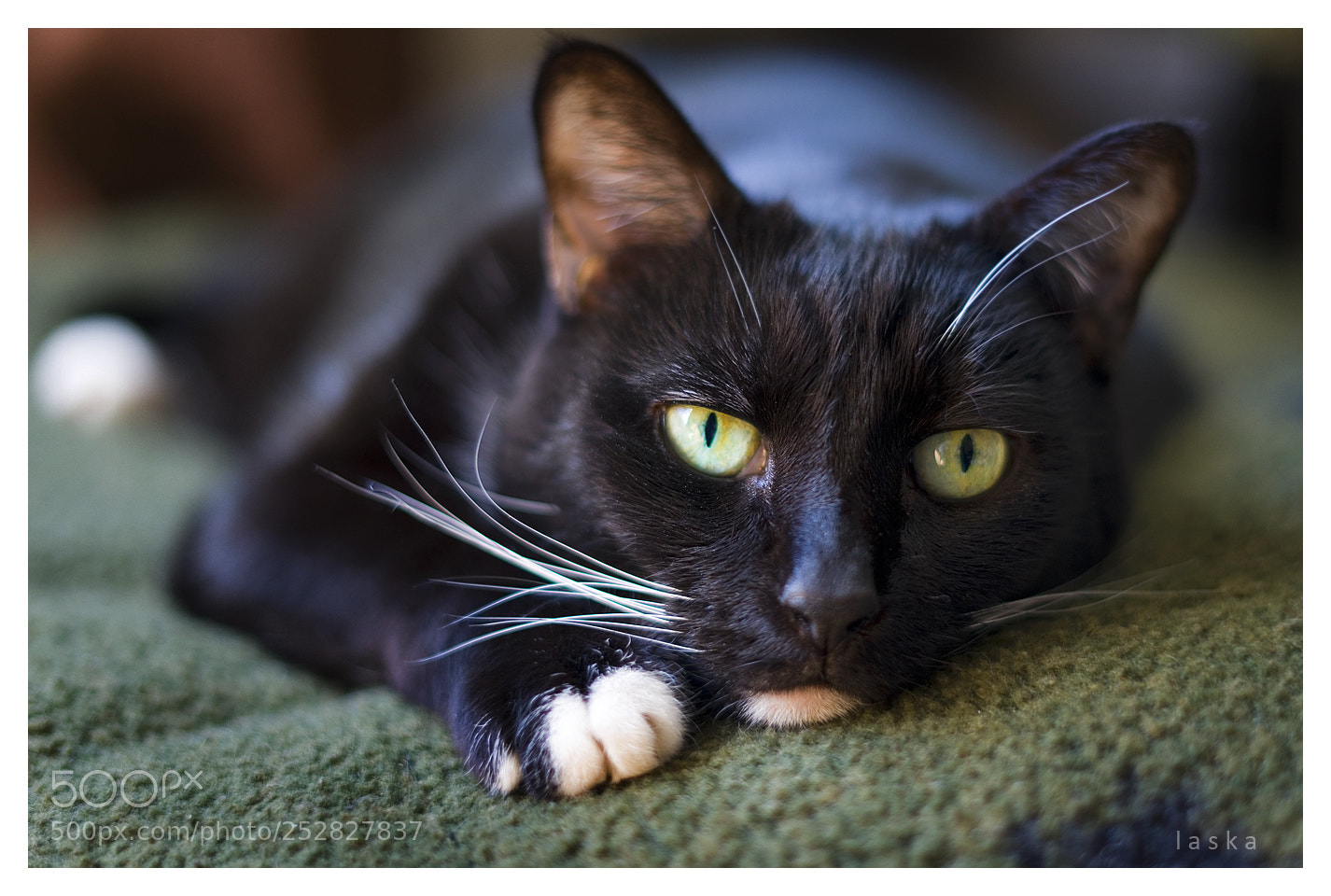Sony a7 II sample photo. 3-26-18.jpg photography