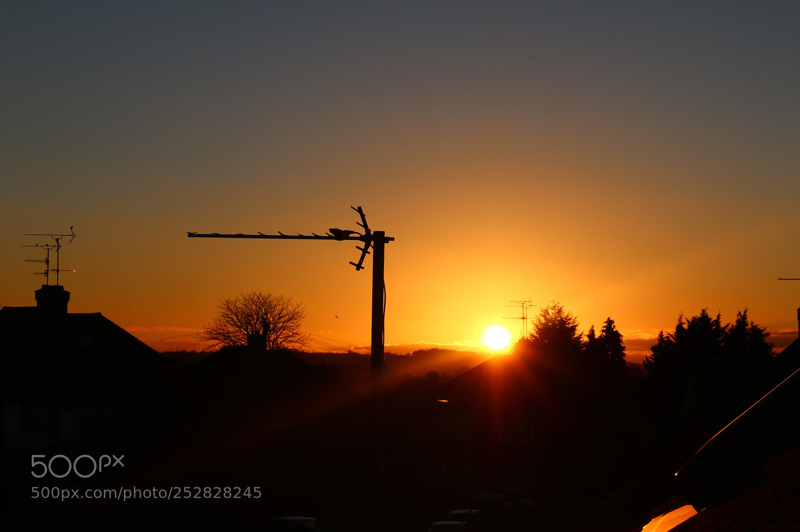 Canon EOS 70D sample photo. Gold photography