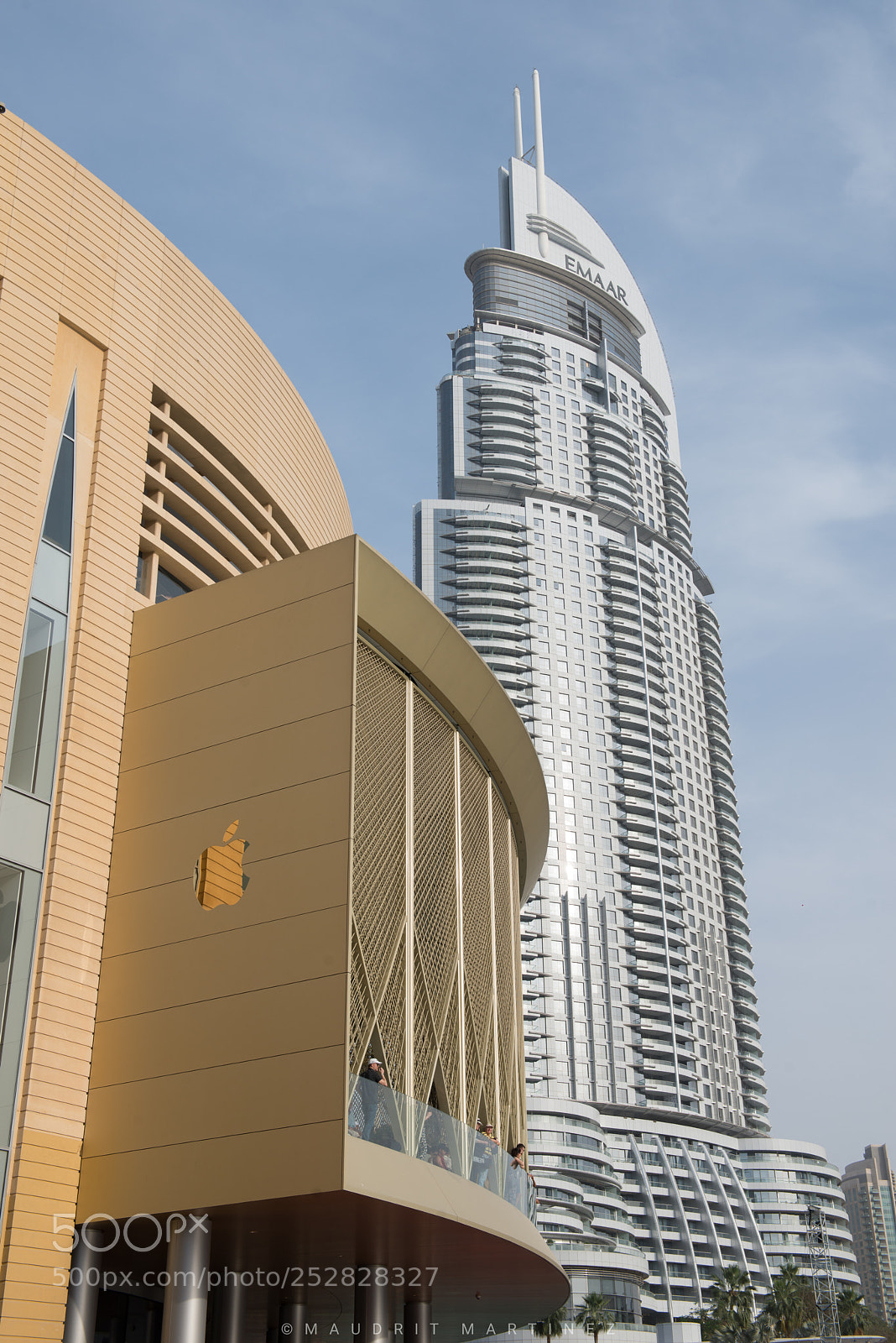 Nikon D800E sample photo. Apple photography