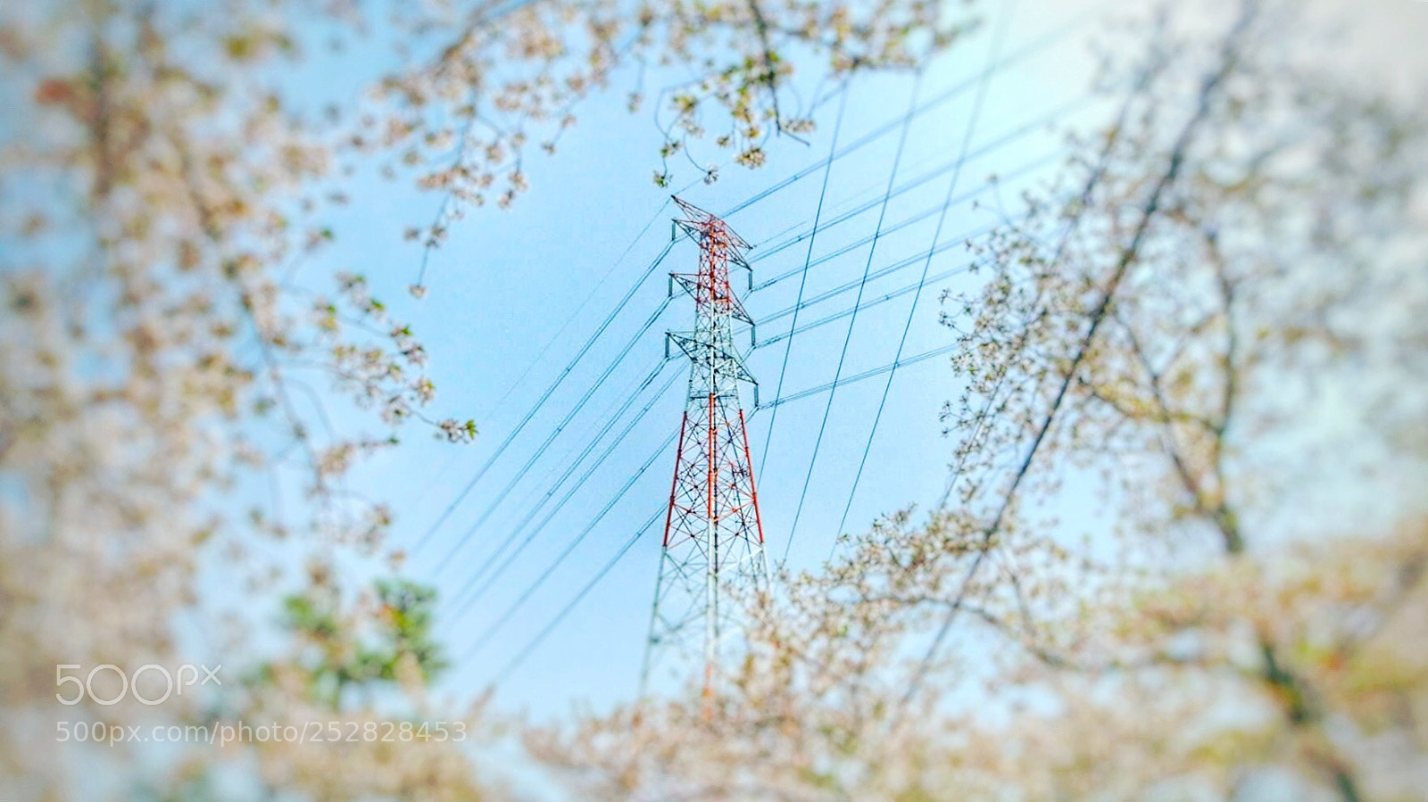 Nikon Coolpix A900 sample photo. Beautiful spring photography