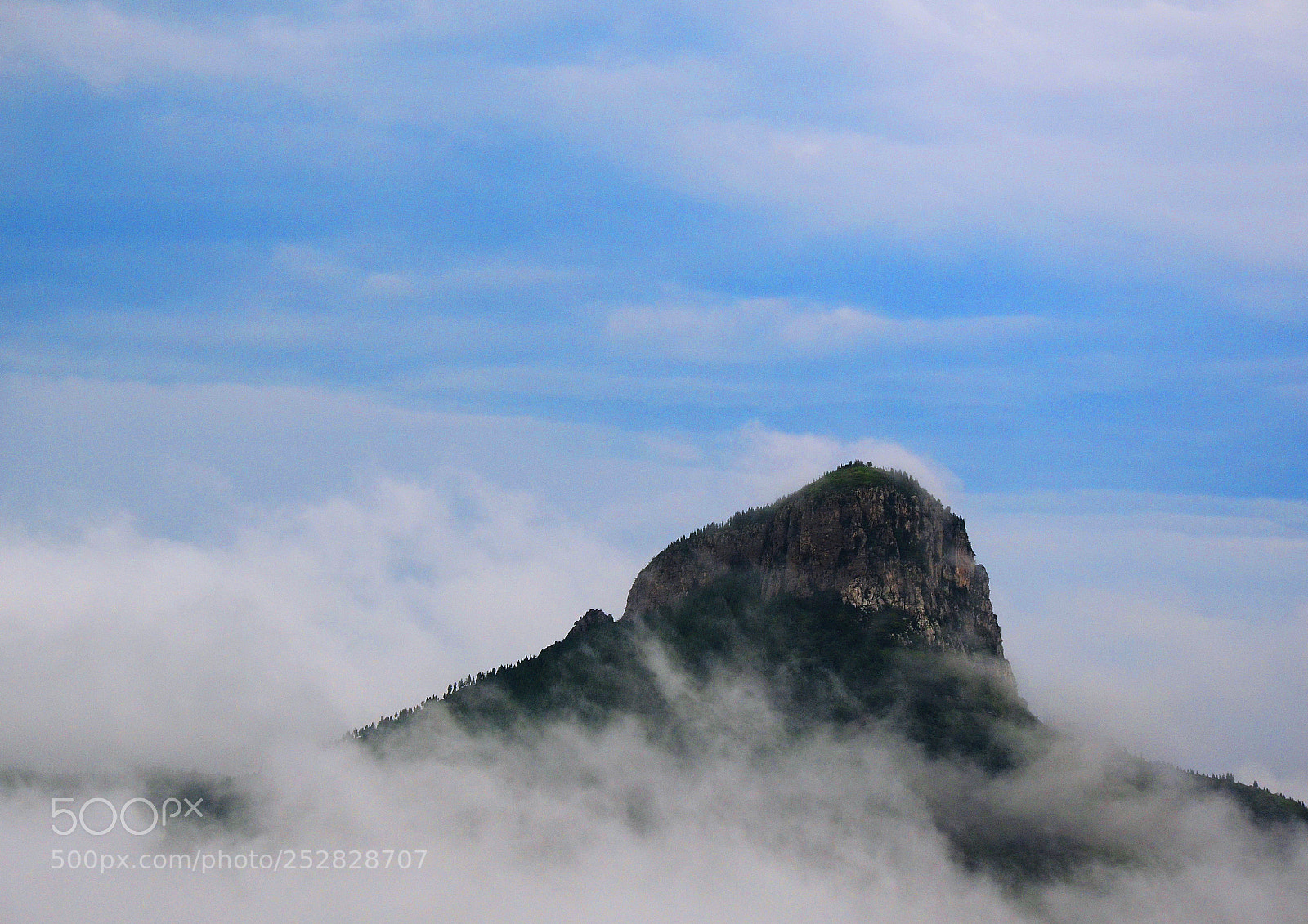 Nikon D7000 sample photo. Fog photography