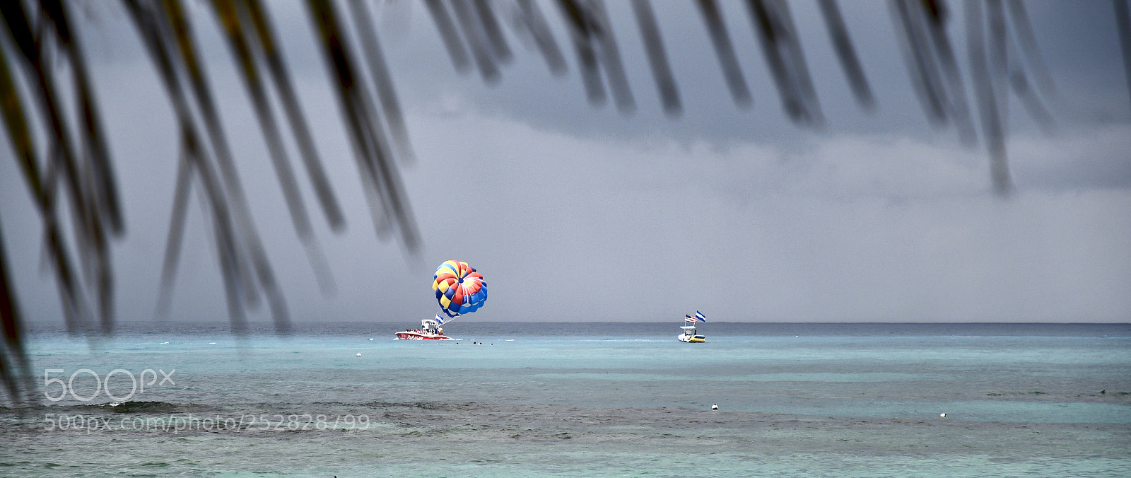 Nikon D7500 sample photo. Up and away photography