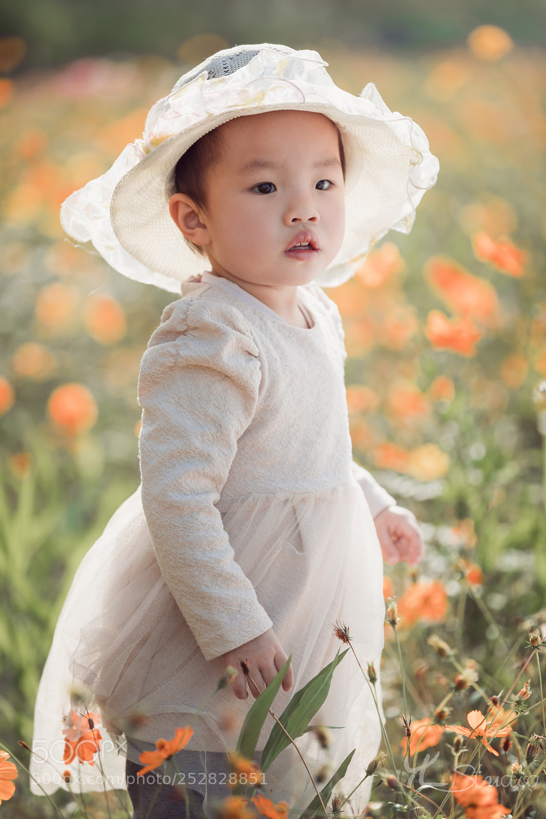 Canon EOS 5D Mark IV sample photo. Untitled photography
