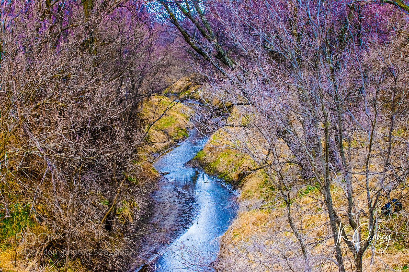Sony Alpha DSLR-A850 sample photo. Creeking along photography