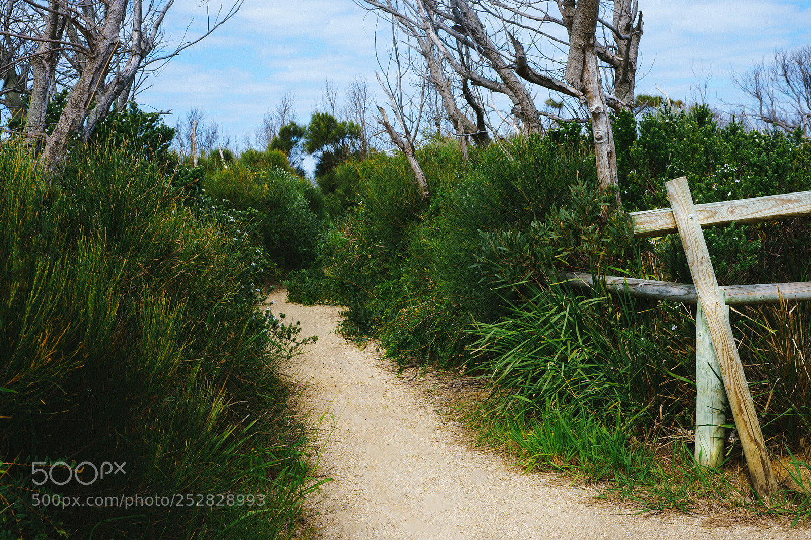 Sony SLT-A99V sample photo. Crossroad to ocean photography