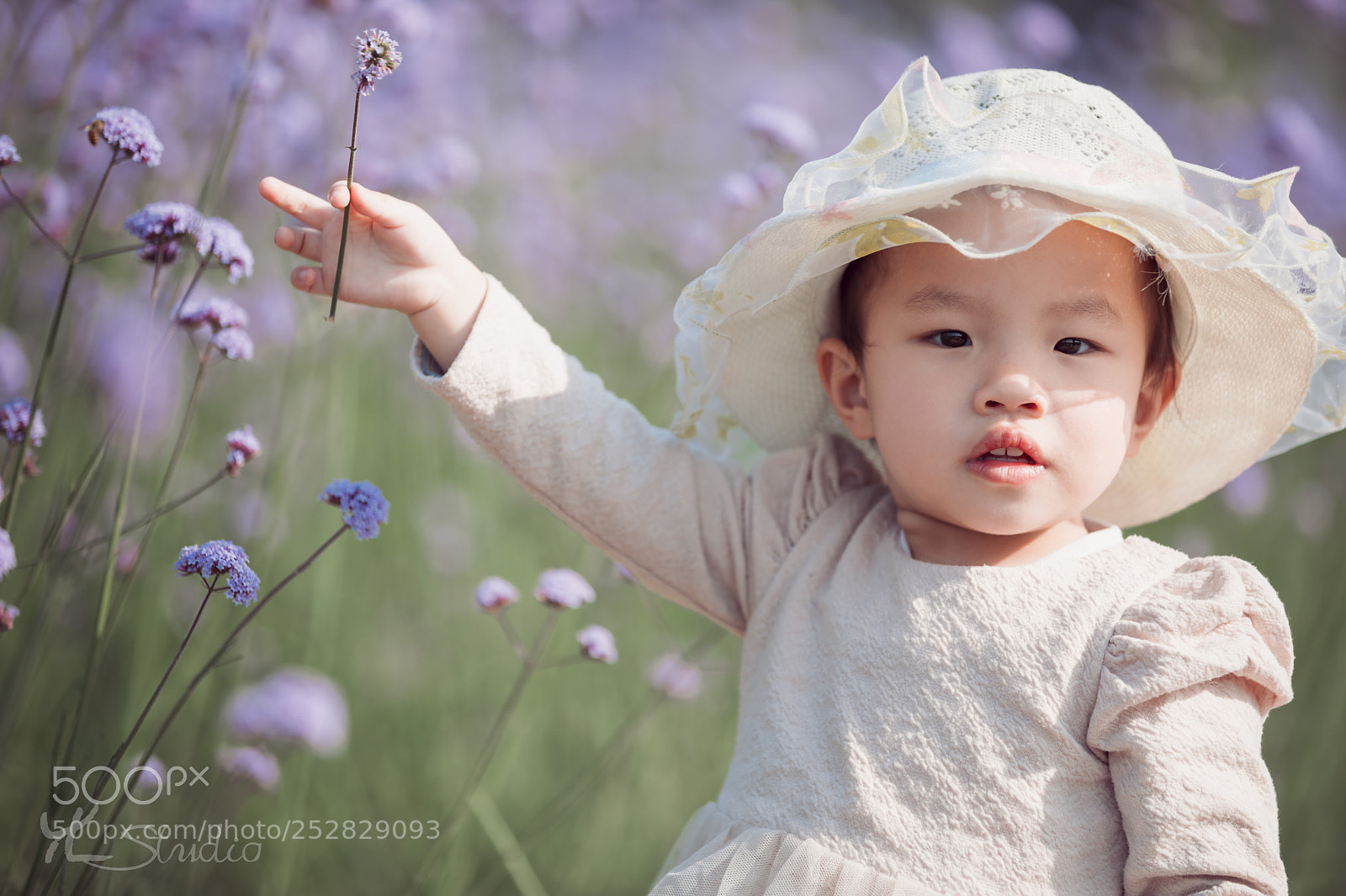 Canon EOS 5D Mark IV sample photo. Untitled photography