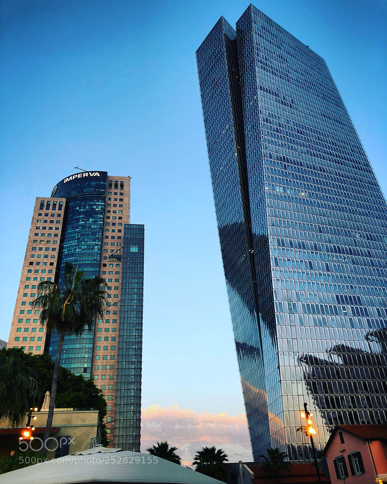 Apple iPhone X sample photo. Untitled photography