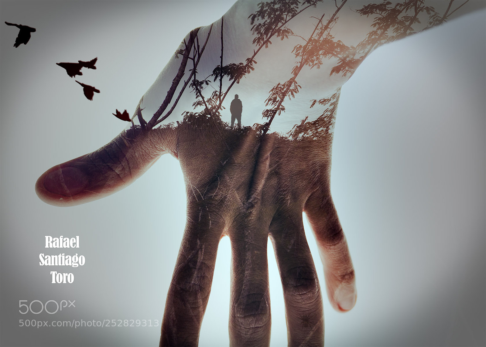 Canon EOS 70D sample photo. Mysterious hand photography